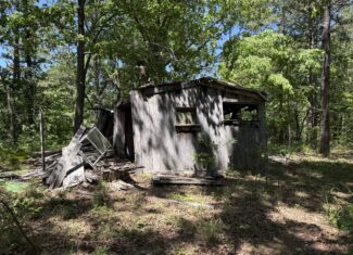 HUNTING LAND FOR SALE IN NORTH CENTRAL ARKANSAS