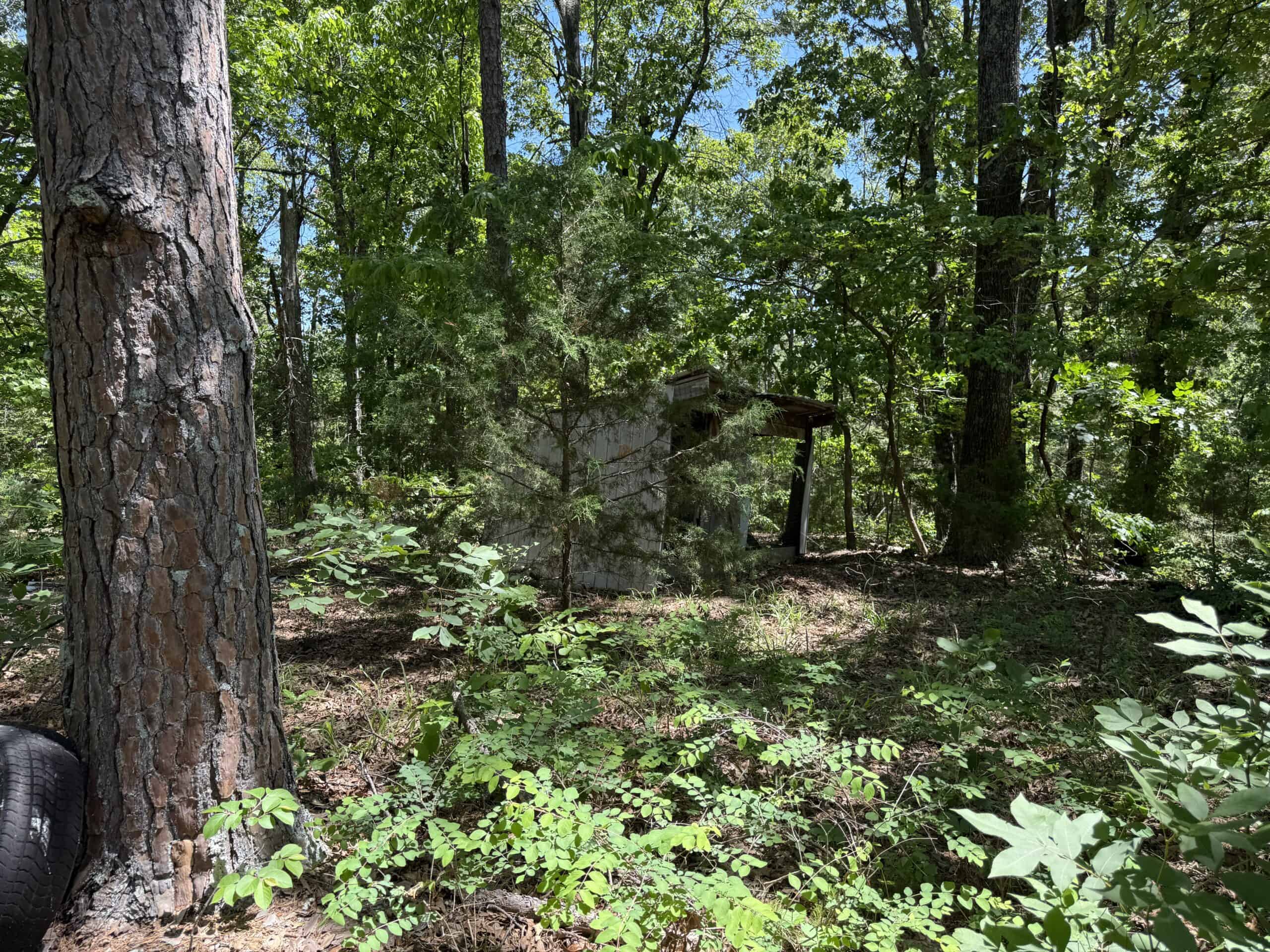HUNTING LAND FOR SALE IN NORTH CENTRAL ARKANSAS