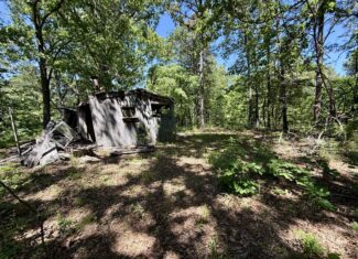 HUNTING LAND FOR SALE IN NORTH CENTRAL ARKANSAS