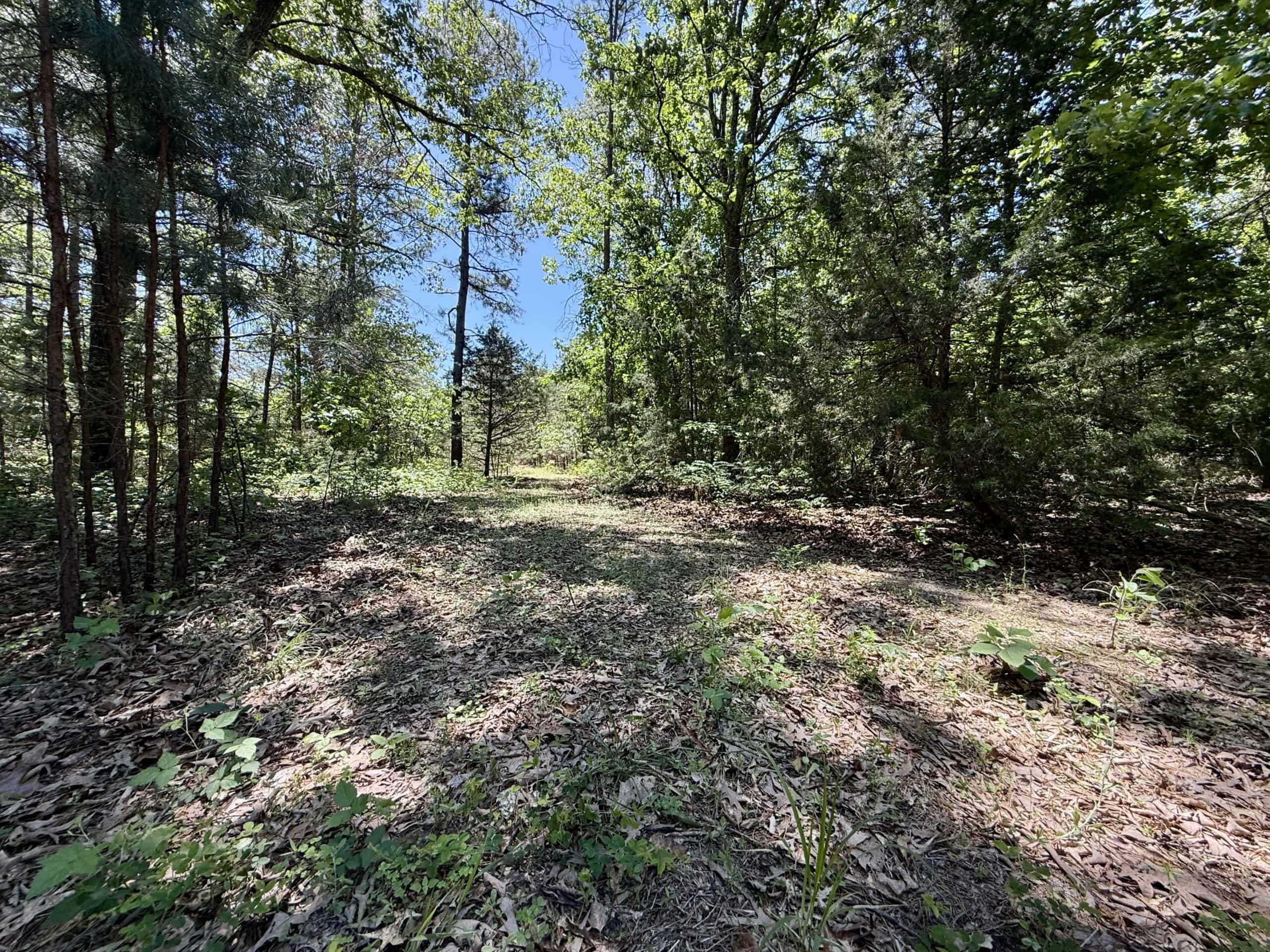 HUNTING LAND FOR SALE IN NORTH CENTRAL ARKANSAS