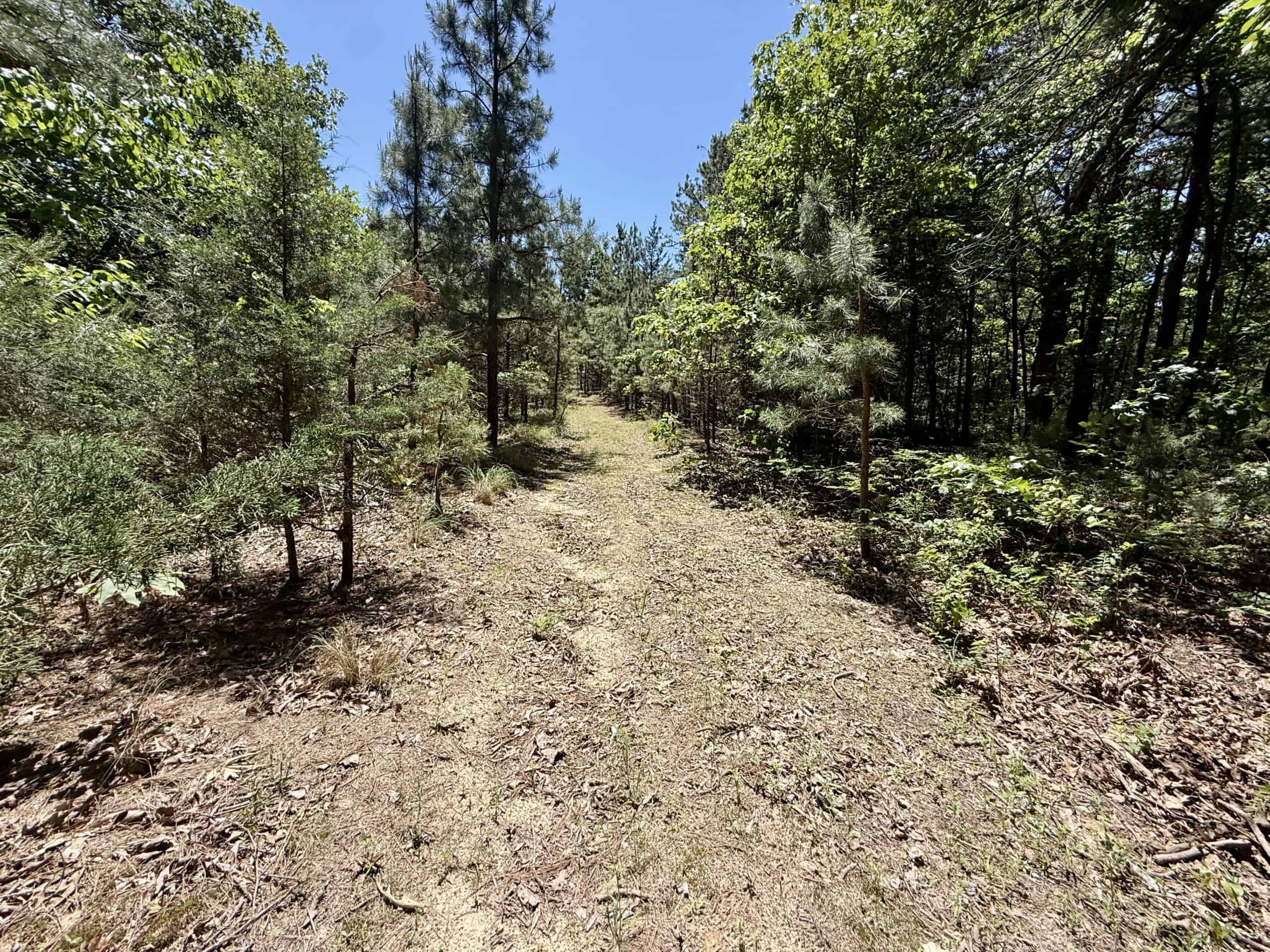 HUNTING LAND FOR SALE IN NORTH CENTRAL ARKANSAS
