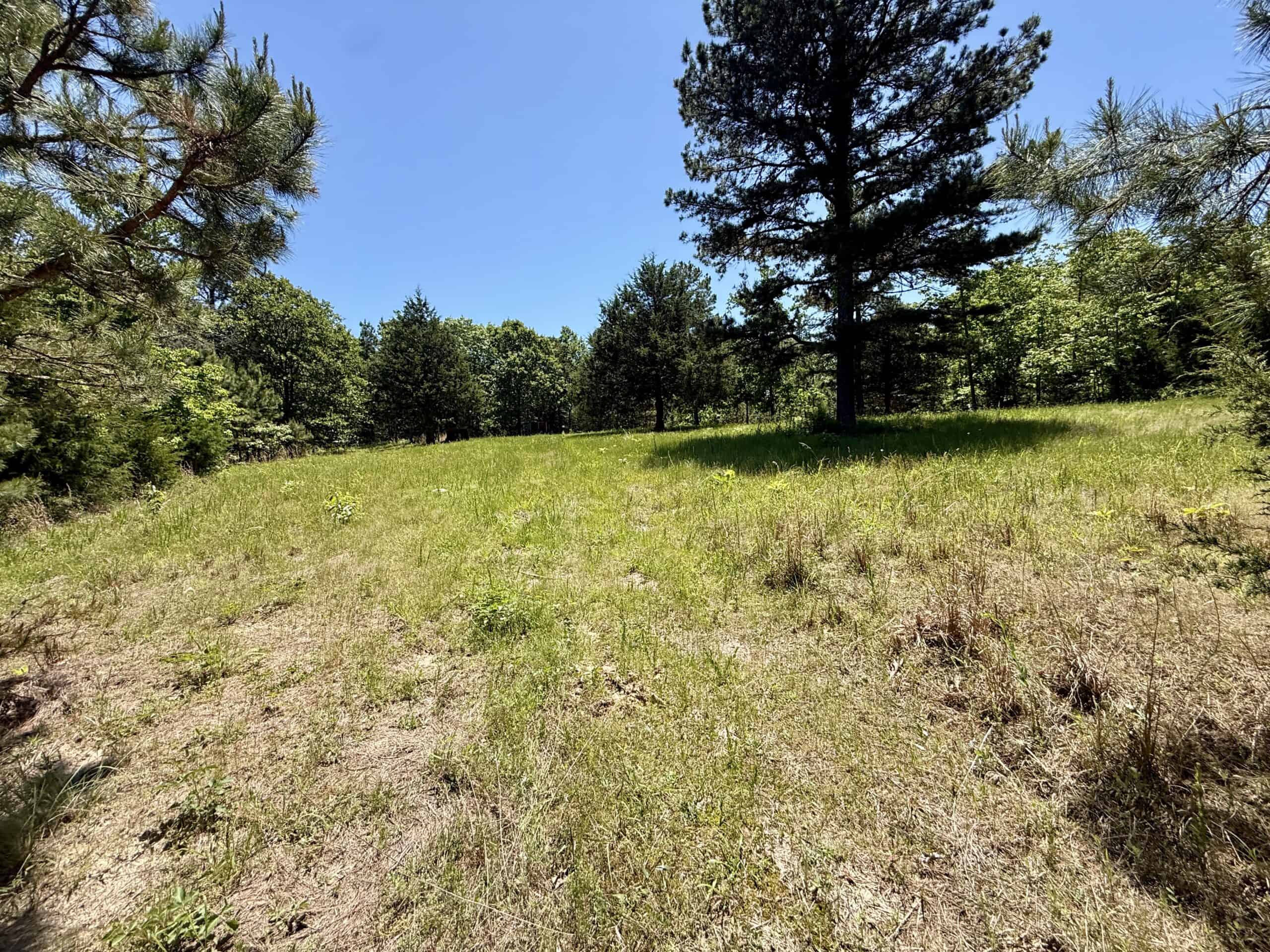 HUNTING LAND FOR SALE IN NORTH CENTRAL ARKANSAS