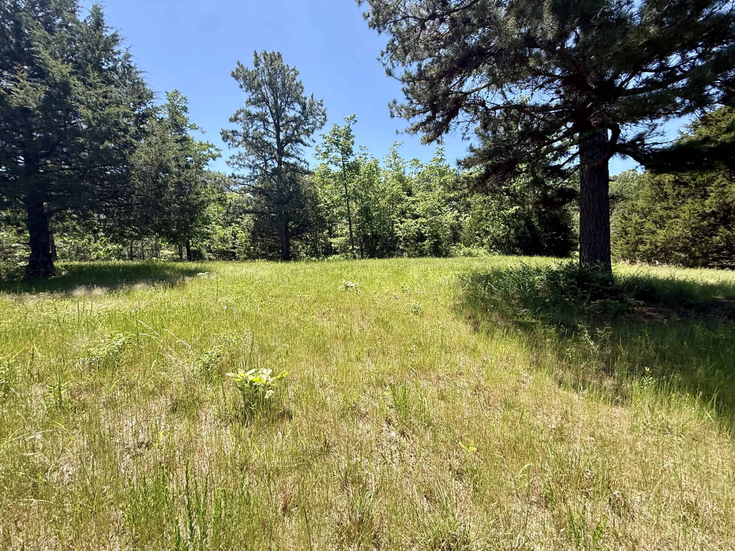 HUNTING LAND FOR SALE IN NORTH CENTRAL ARKANSAS