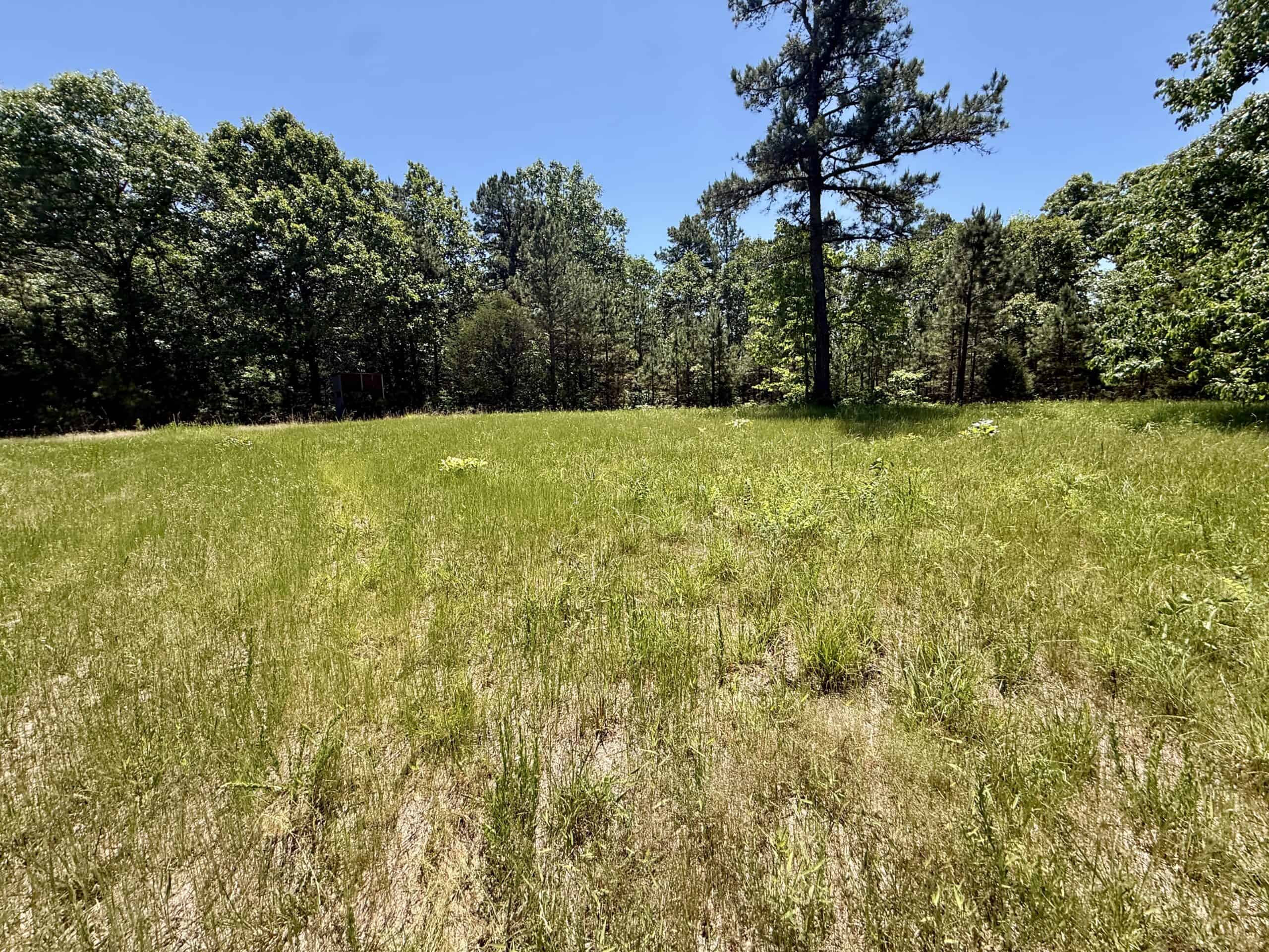 HUNTING LAND FOR SALE IN NORTH CENTRAL ARKANSAS