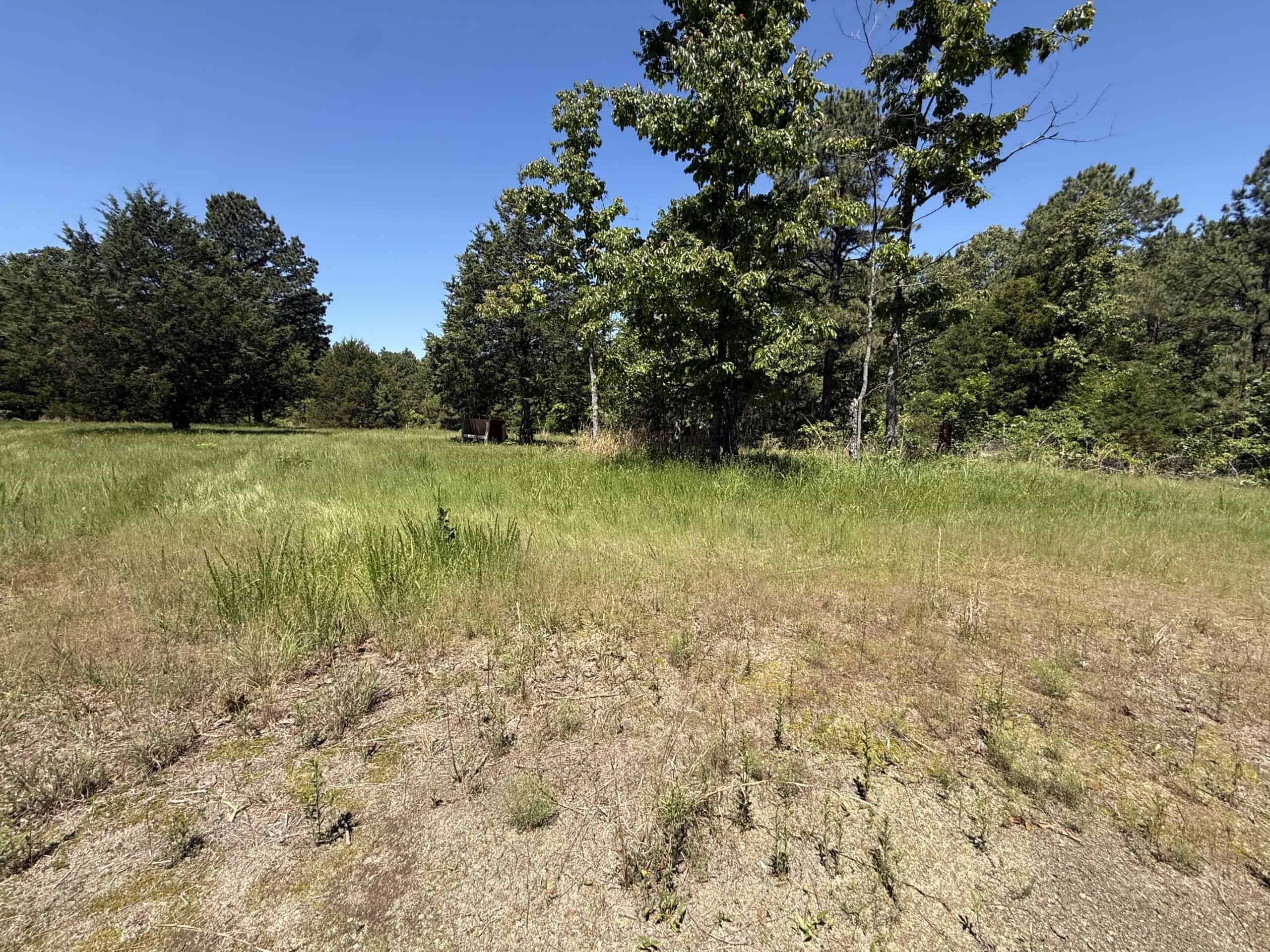 HUNTING LAND FOR SALE IN NORTH CENTRAL ARKANSAS