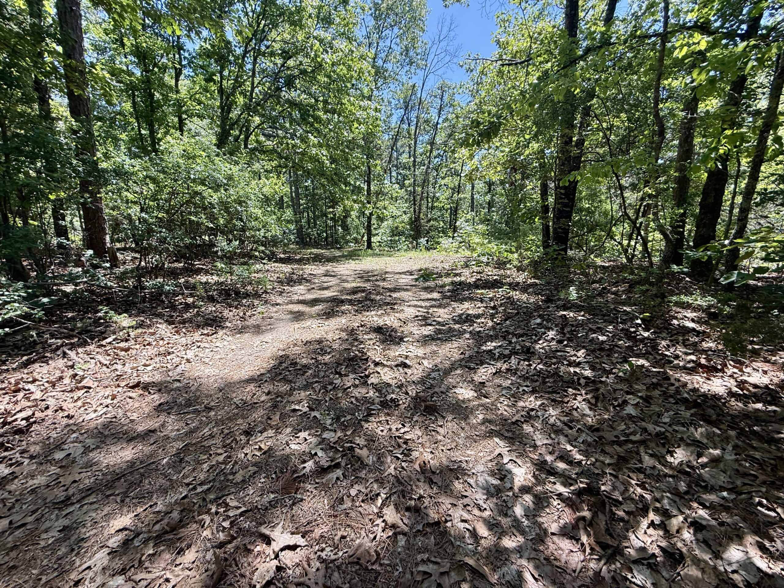 HUNTING LAND FOR SALE IN NORTH CENTRAL ARKANSAS