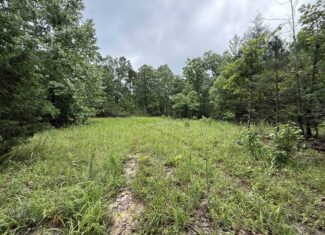HUNTING LAND FOR SALE IN NORTH CENTRAL ARKANSAS
