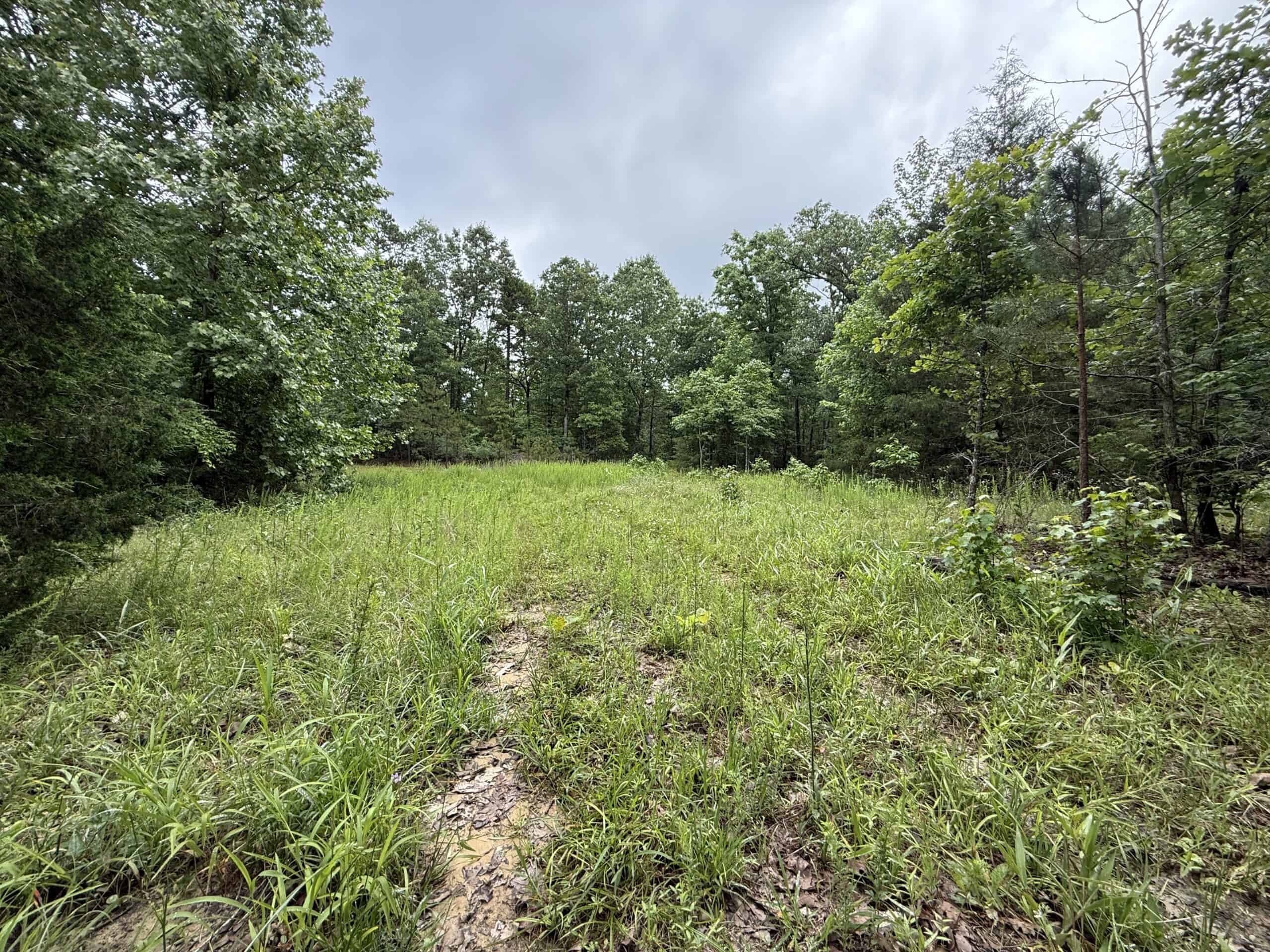 HUNTING LAND FOR SALE IN NORTH CENTRAL ARKANSAS