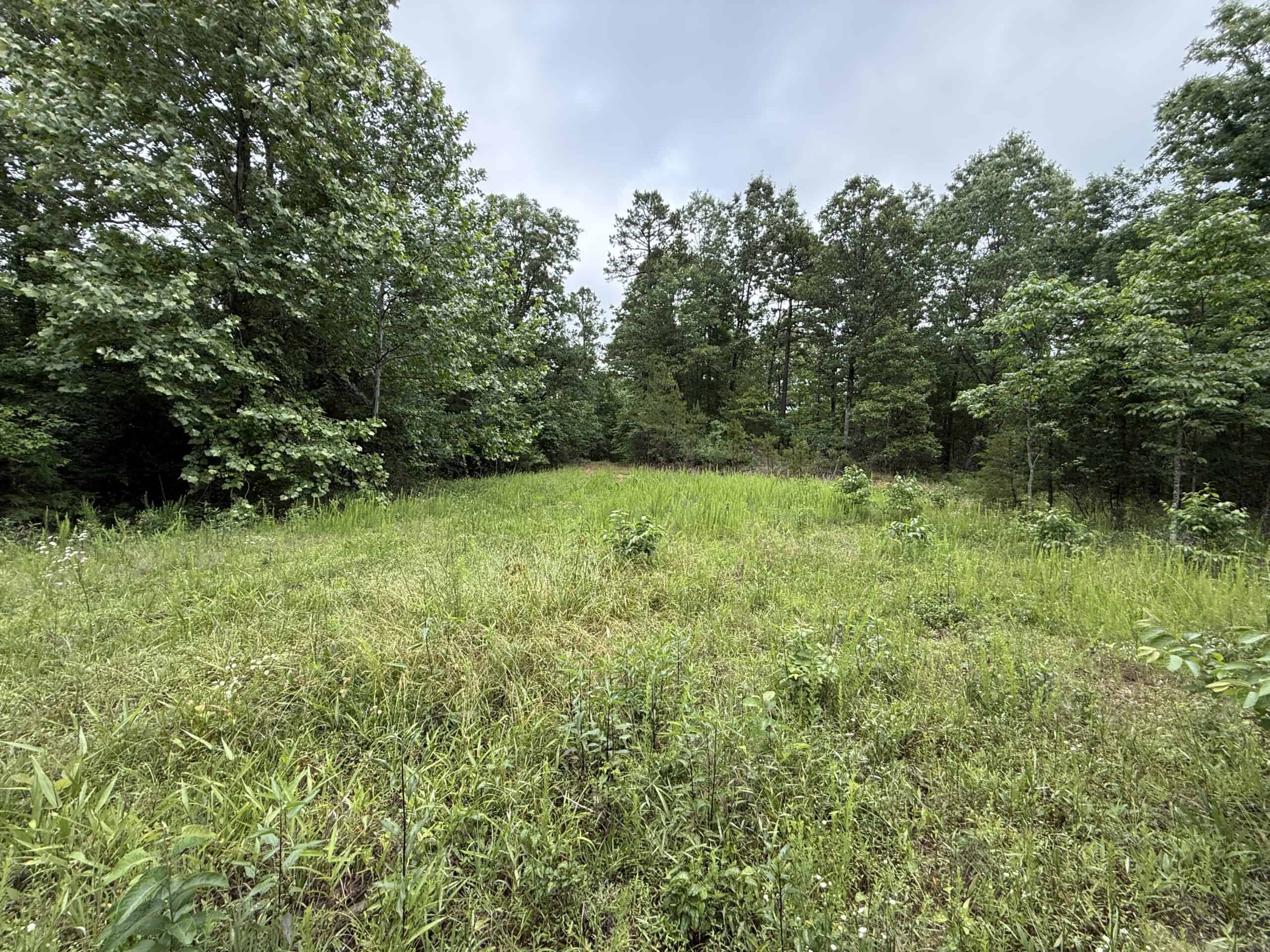 HUNTING LAND FOR SALE IN NORTH CENTRAL ARKANSAS
