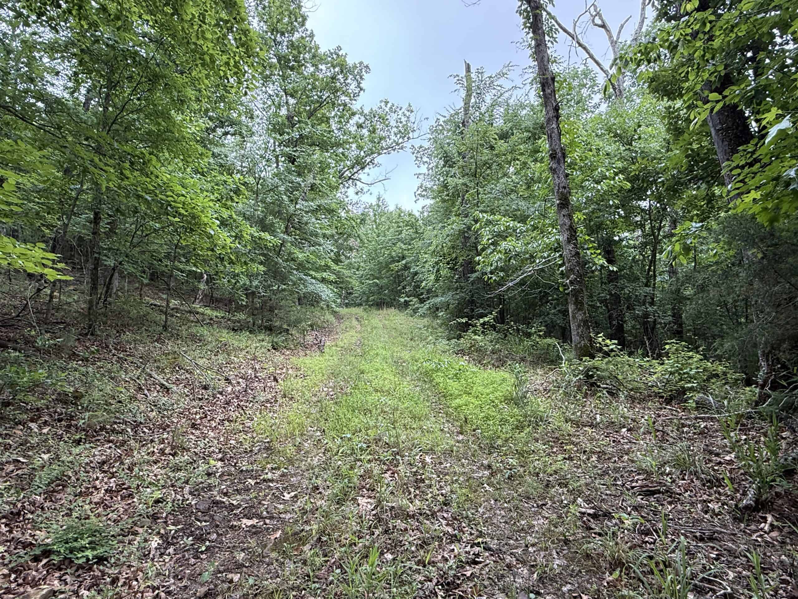 HUNTING LAND FOR SALE IN NORTH CENTRAL ARKANSAS