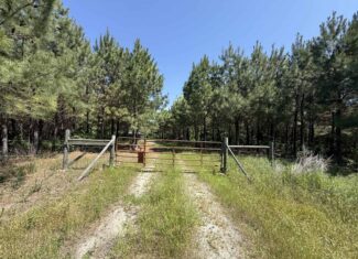 CABIN WITH HUNTING LAND FOR SALE IN NORTH CENTRAL ARKANSAS