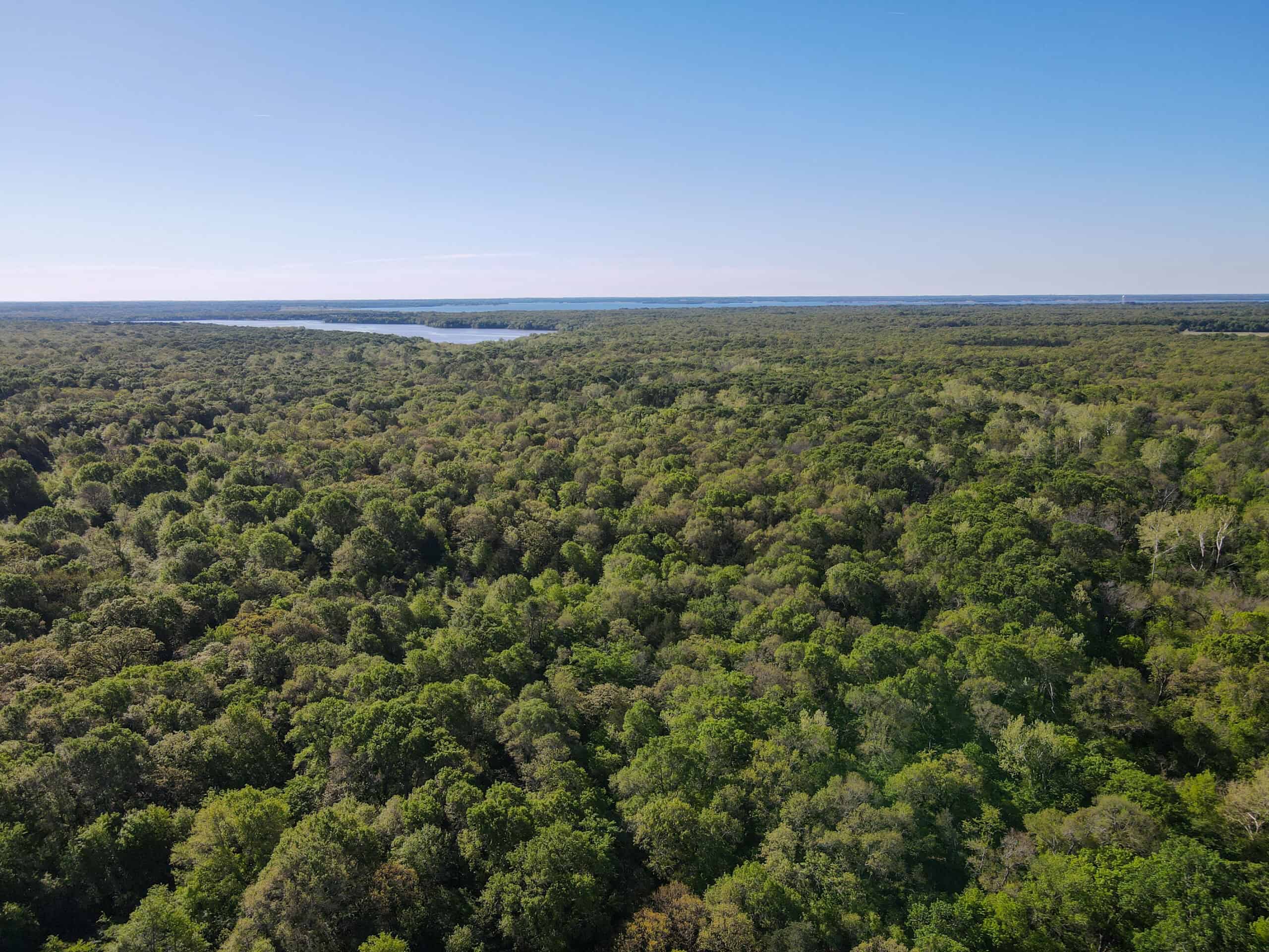 Texas Hunting & Recreational Land Auction