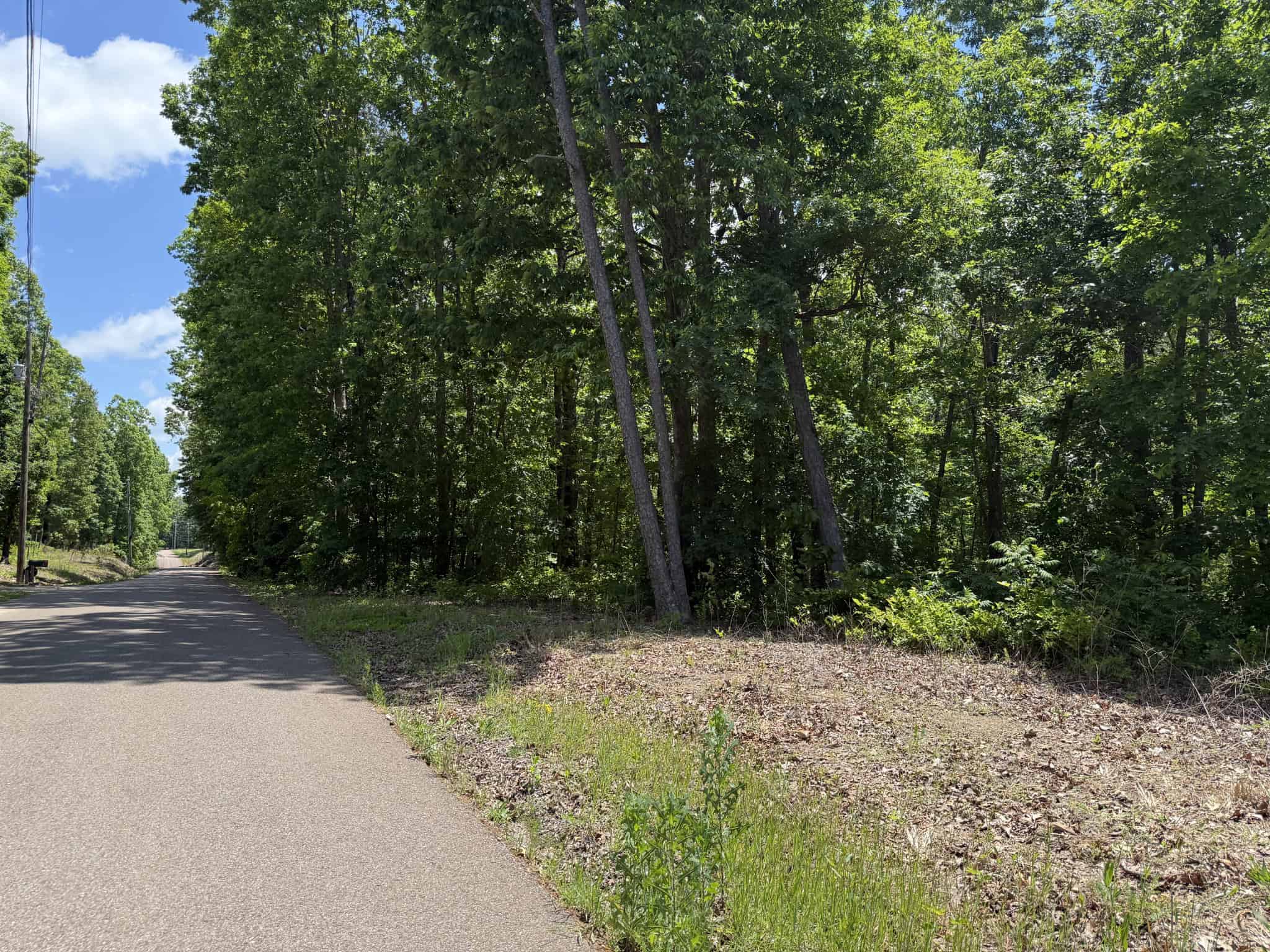 WOODED LAND, ROLLING HILLS NEAR PICKWICK LAKE