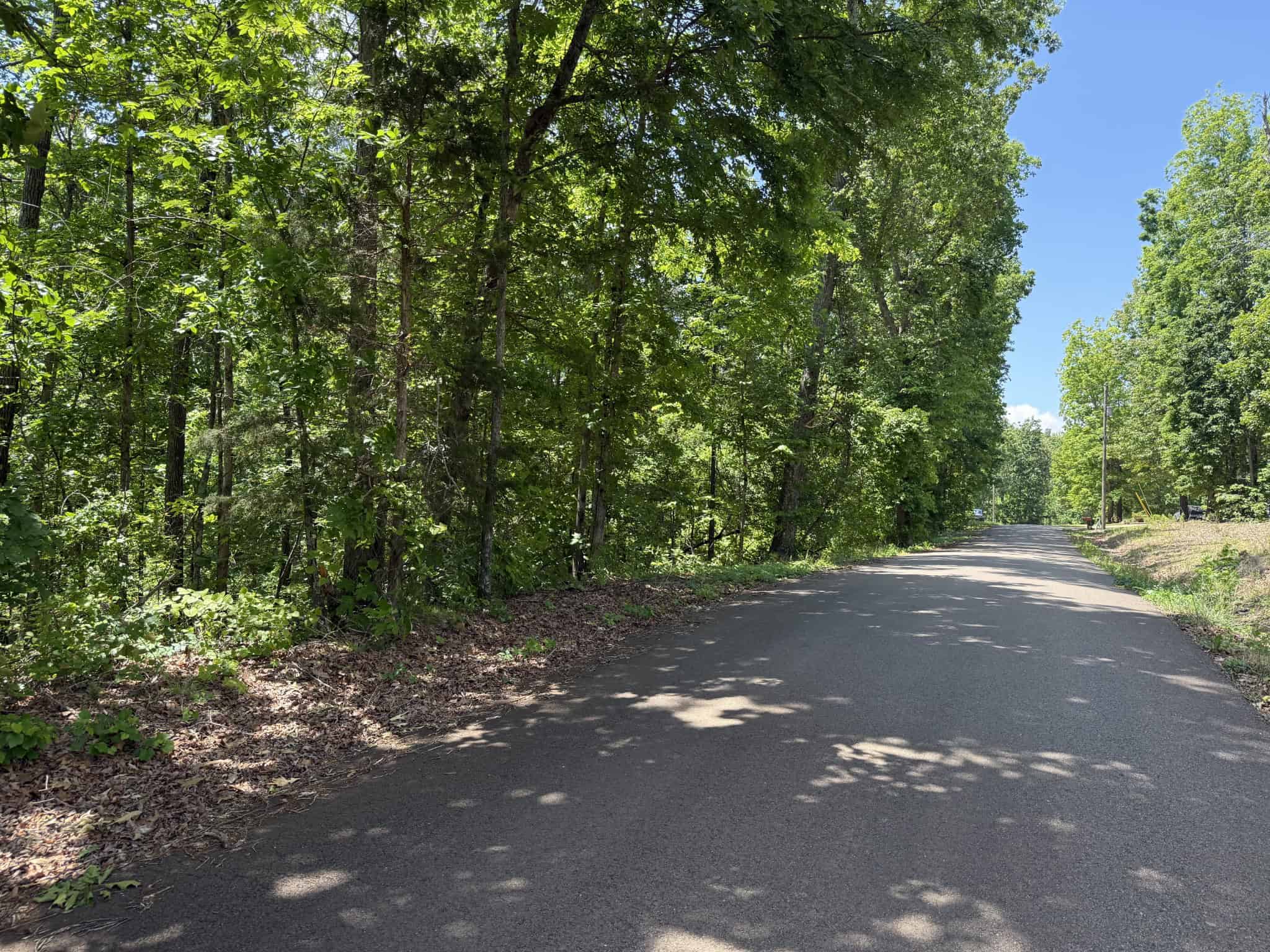WOODED LAND, ROLLING HILLS NEAR PICKWICK LAKE