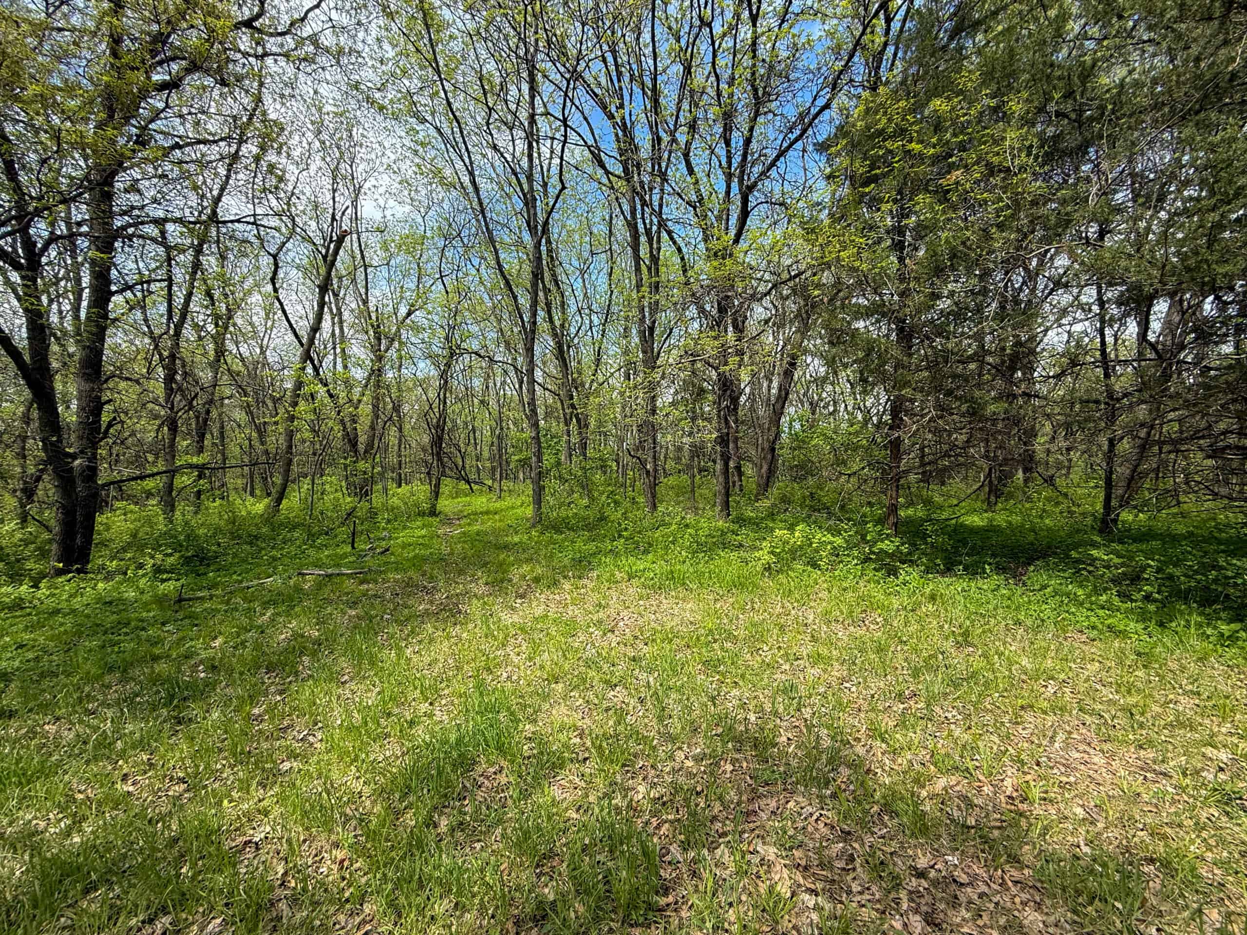 98± Acres – Monroe County, Iowa | Premier Hunting & Recreational Tract Southwest of Albia