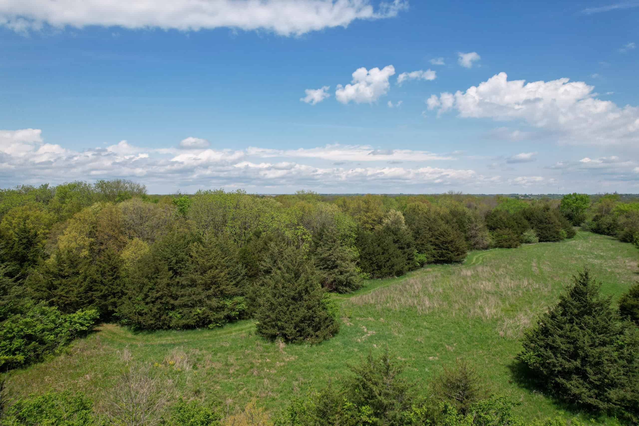 98± Acres – Monroe County, Iowa | Premier Hunting & Recreational Tract Southwest of Albia