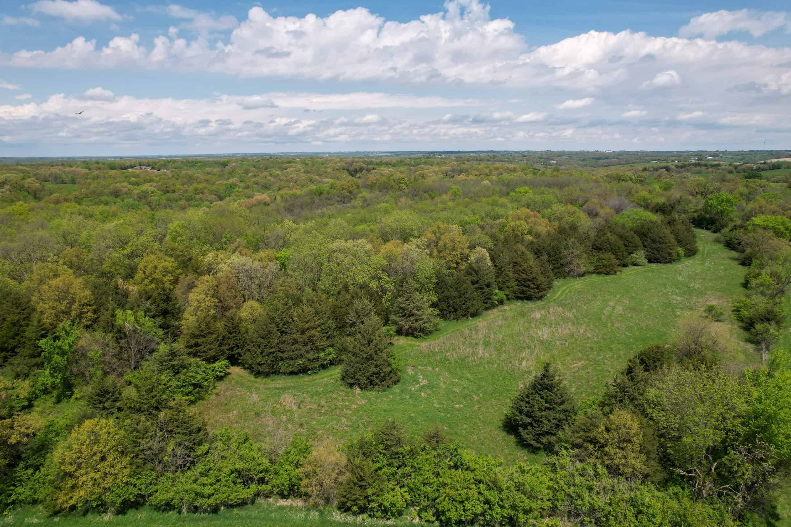 98± Acres – Monroe County, Iowa | Premier Hunting & Recreational Tract Southwest of Albia
