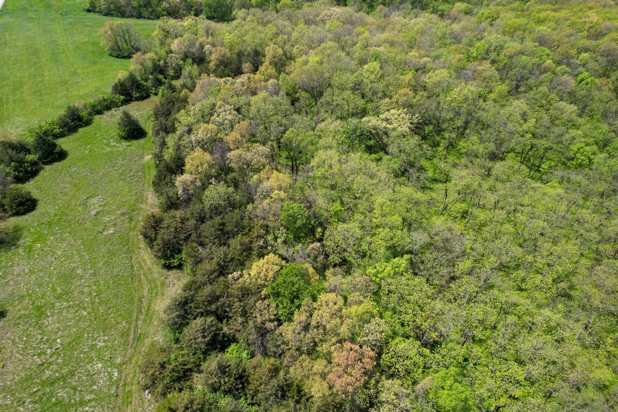 98± Acres – Monroe County, Iowa | Premier Hunting & Recreational Tract Southwest of Albia