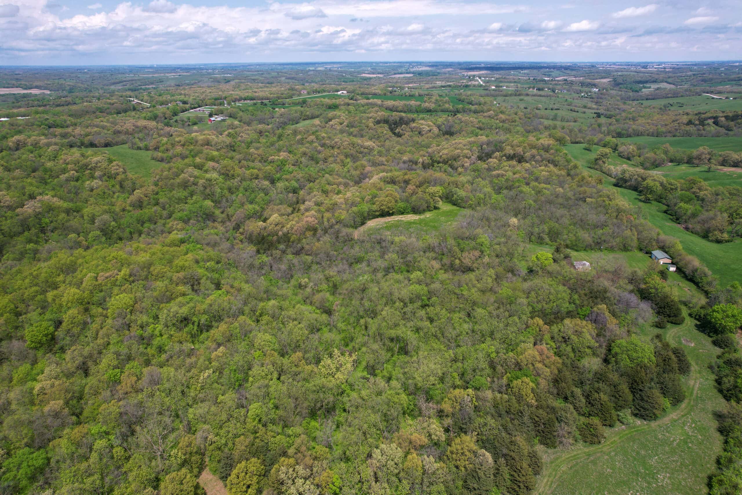 98± Acres – Monroe County, Iowa | Premier Hunting & Recreational Tract Southwest of Albia