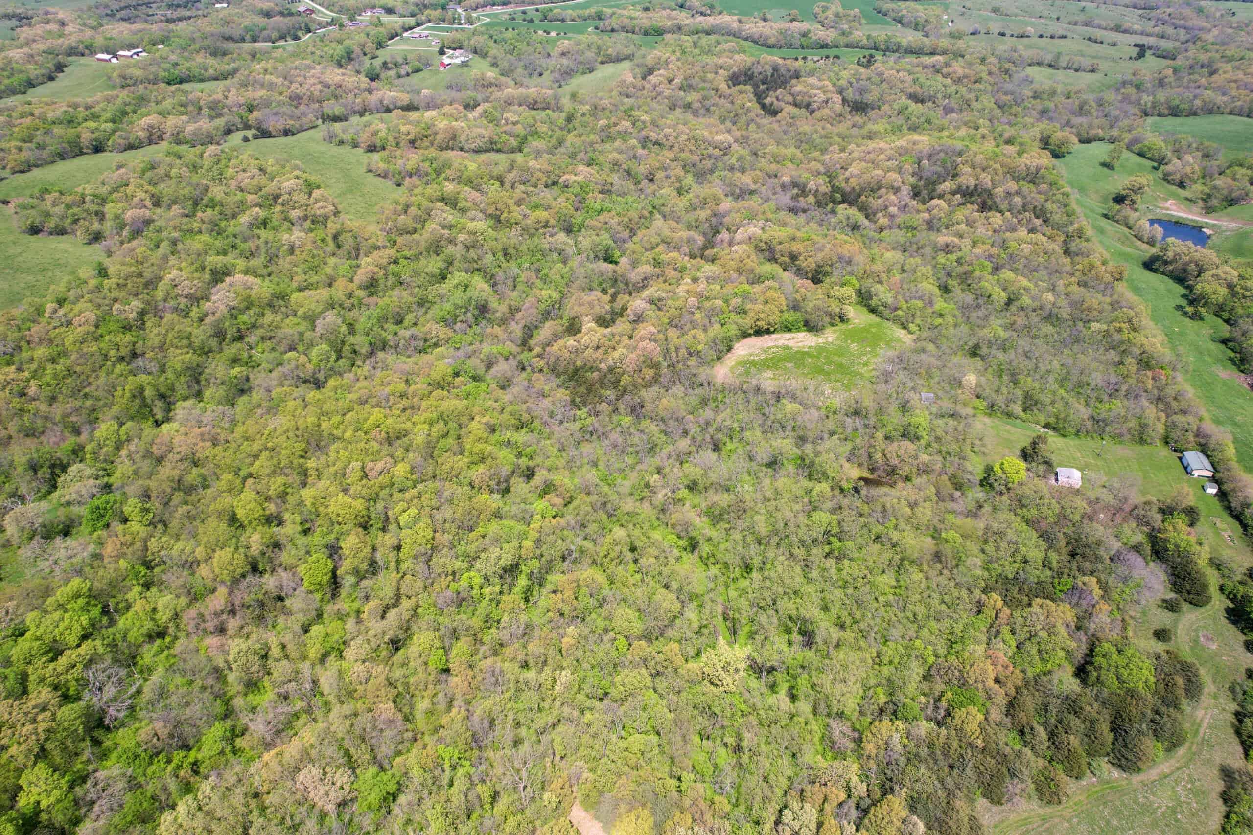 98± Acres – Monroe County, Iowa | Premier Hunting & Recreational Tract Southwest of Albia