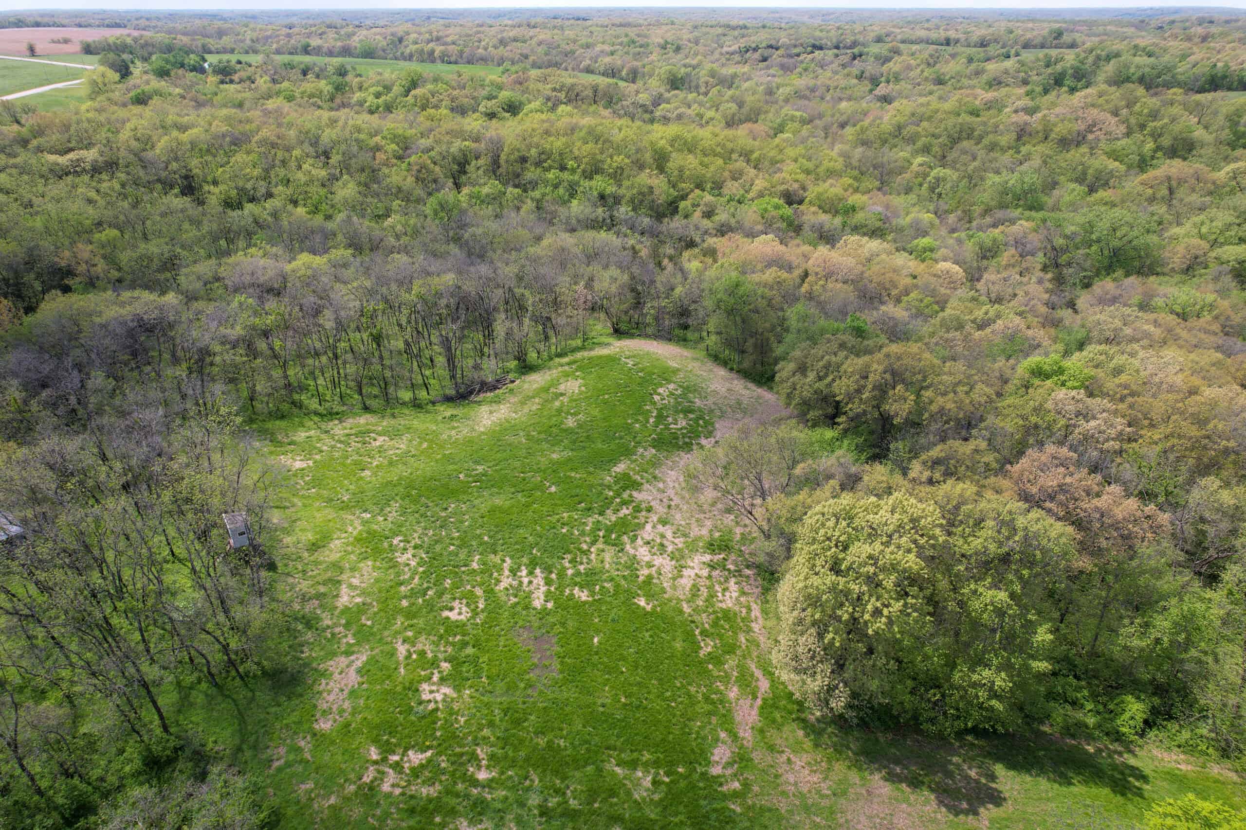 98± Acres – Monroe County, Iowa | Premier Hunting & Recreational Tract Southwest of Albia