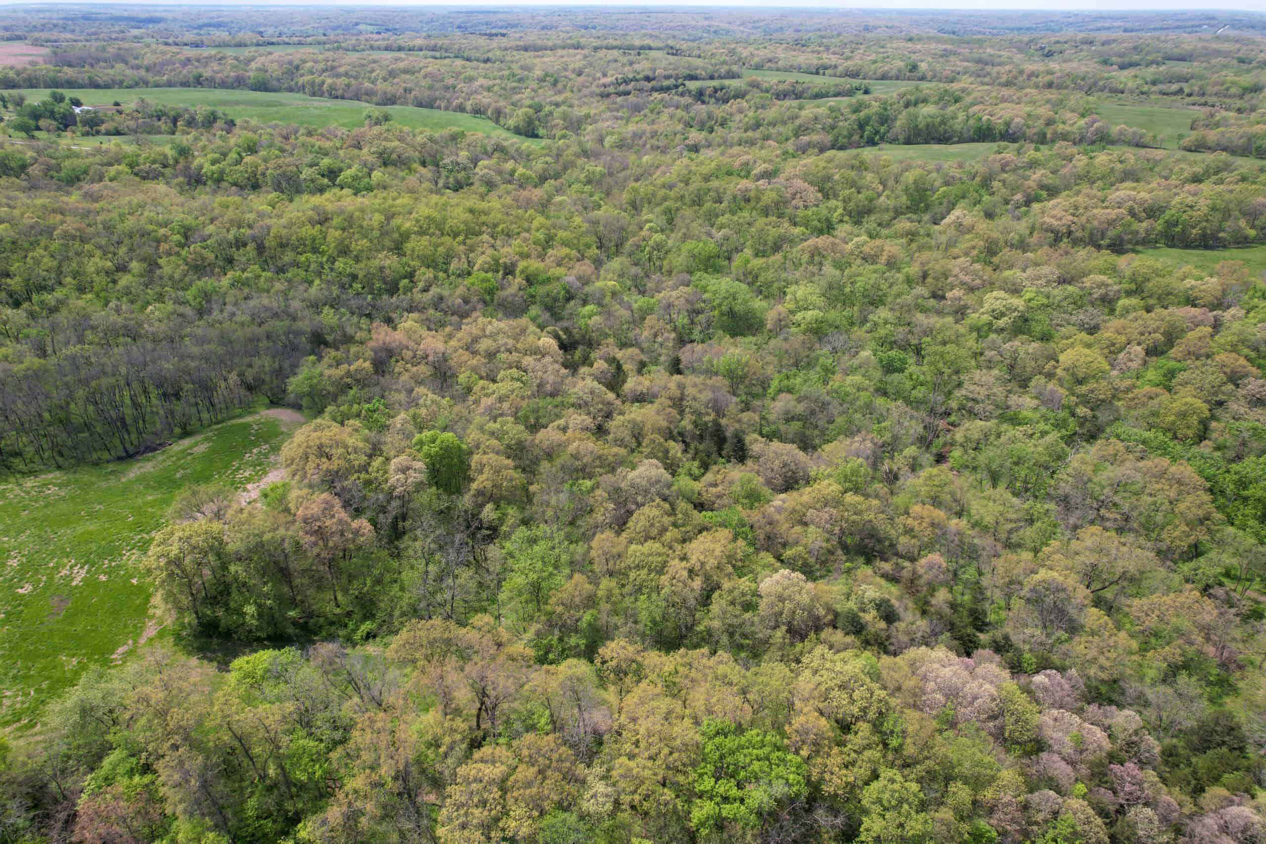 98± Acres – Monroe County, Iowa | Premier Hunting & Recreational Tract Southwest of Albia