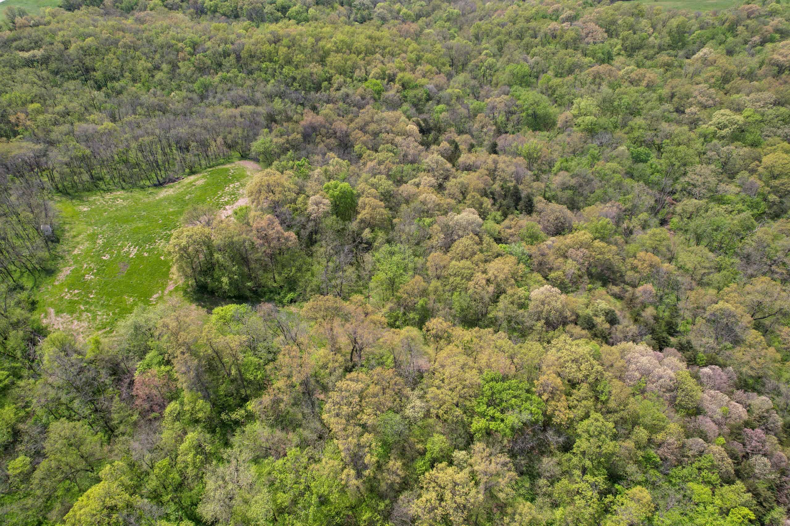 98± Acres – Monroe County, Iowa | Premier Hunting & Recreational Tract Southwest of Albia