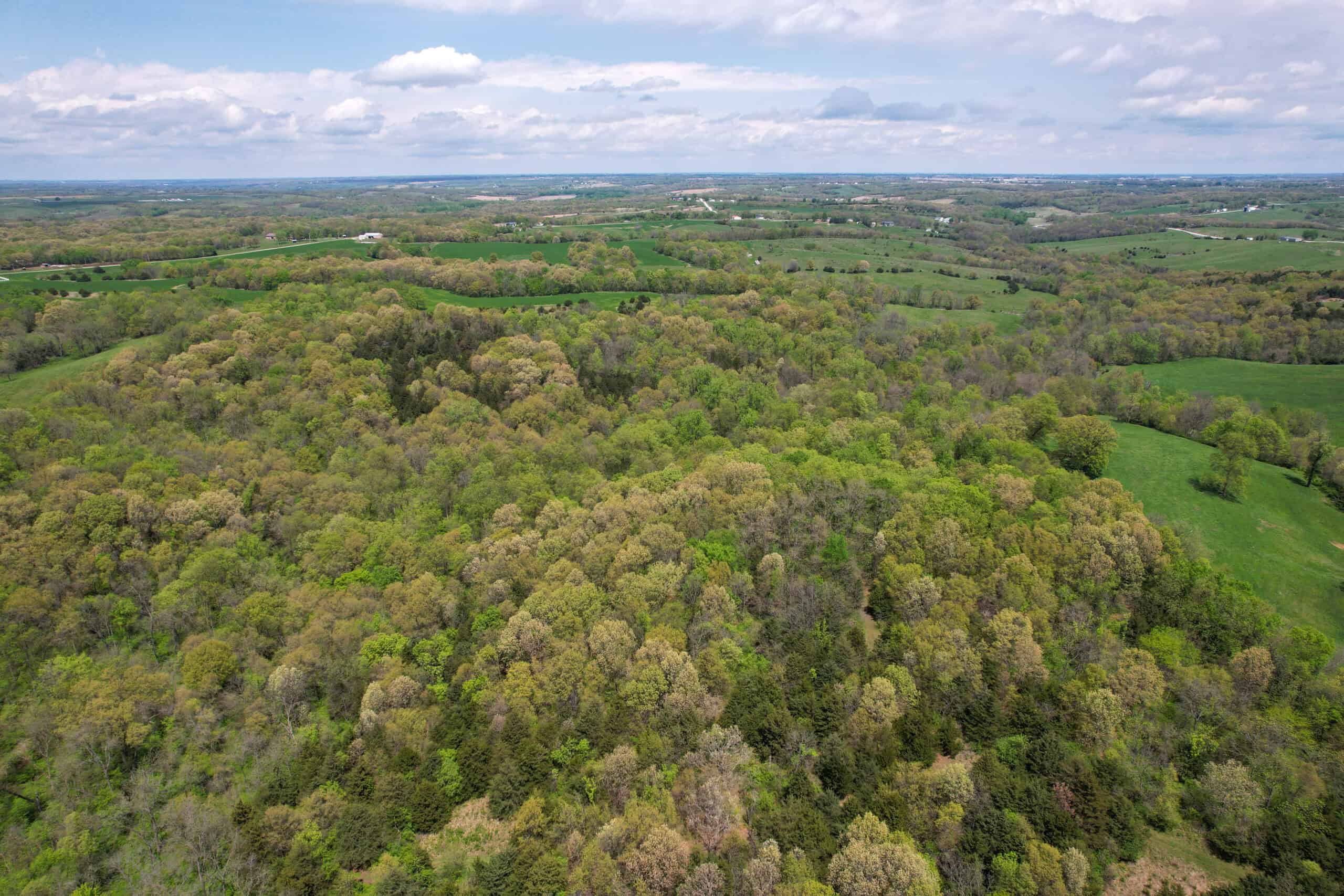 98± Acres – Monroe County, Iowa | Premier Hunting & Recreational Tract Southwest of Albia