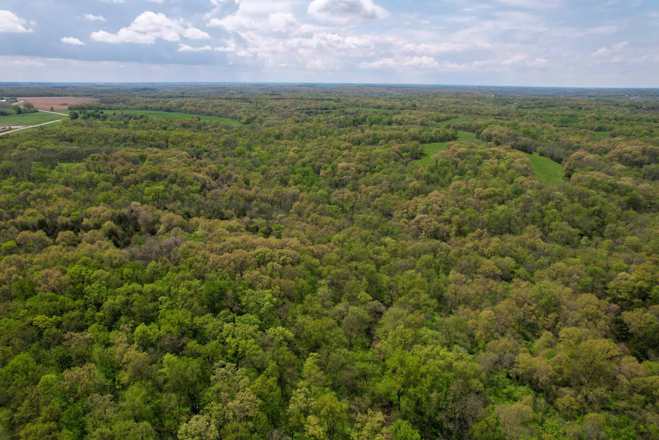 98± Acres – Monroe County, Iowa | Premier Hunting & Recreational Tract Southwest of Albia