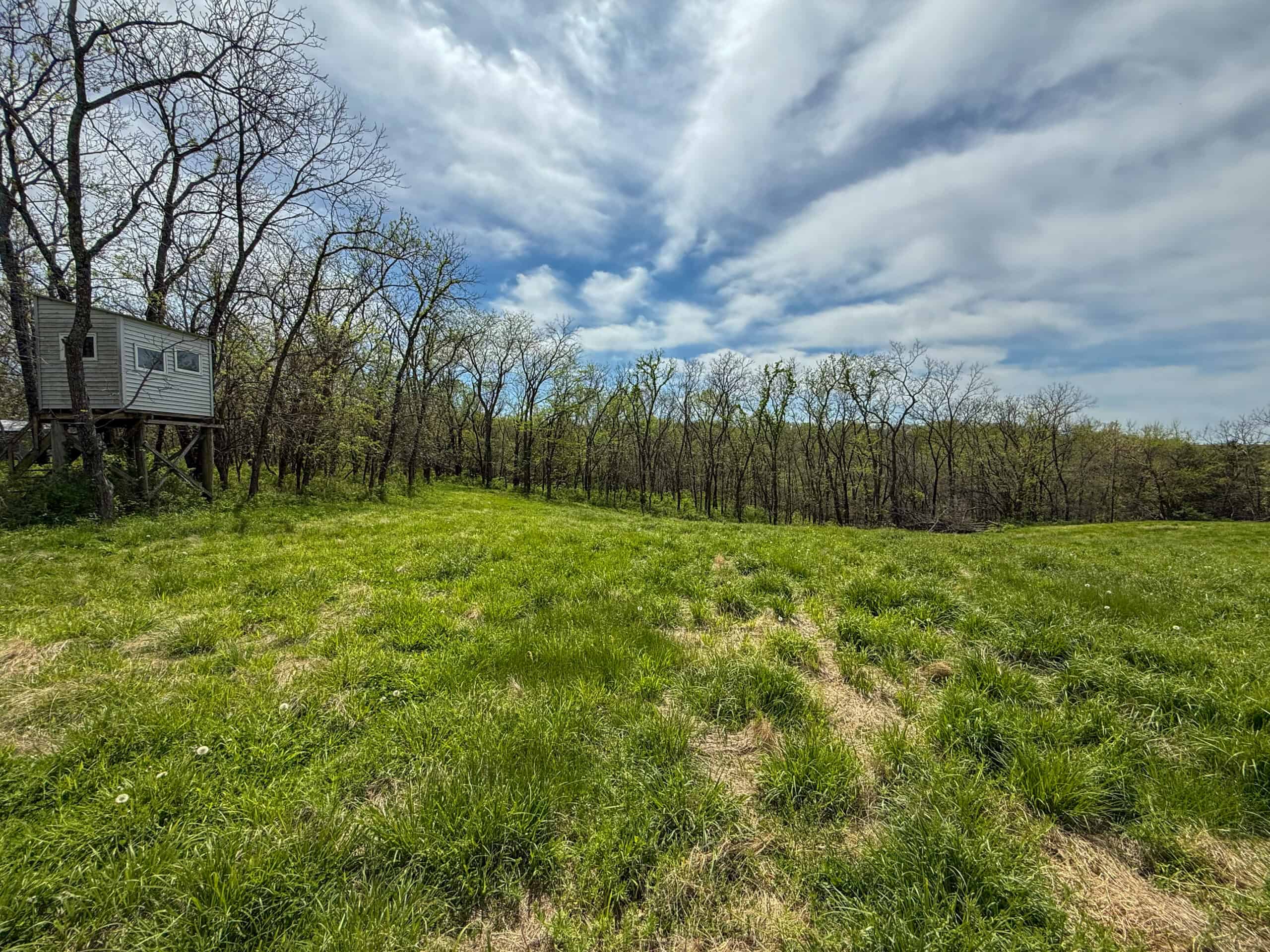 98± Acres – Monroe County, Iowa | Premier Hunting & Recreational Tract Southwest of Albia