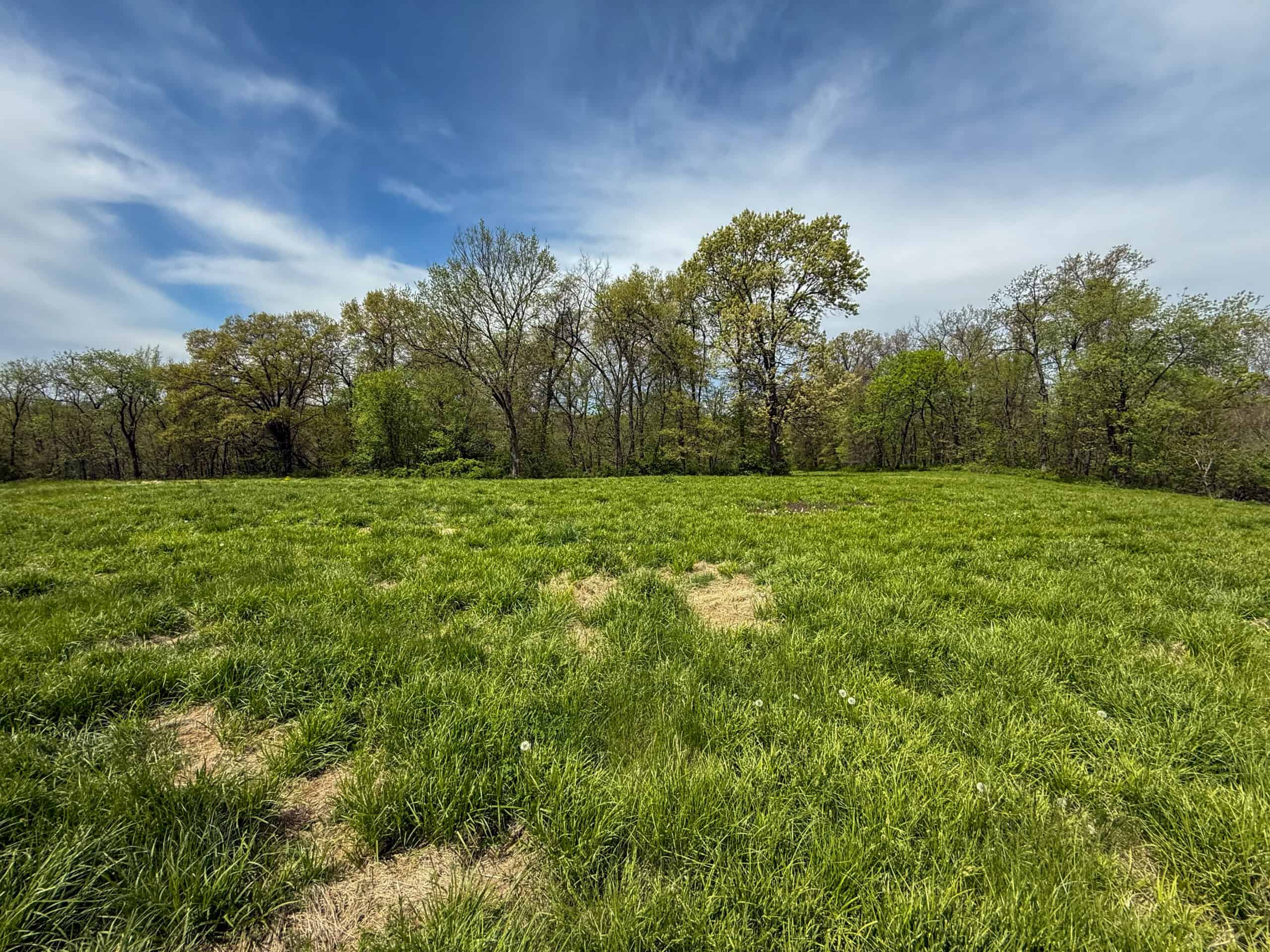 98± Acres – Monroe County, Iowa | Premier Hunting & Recreational Tract Southwest of Albia