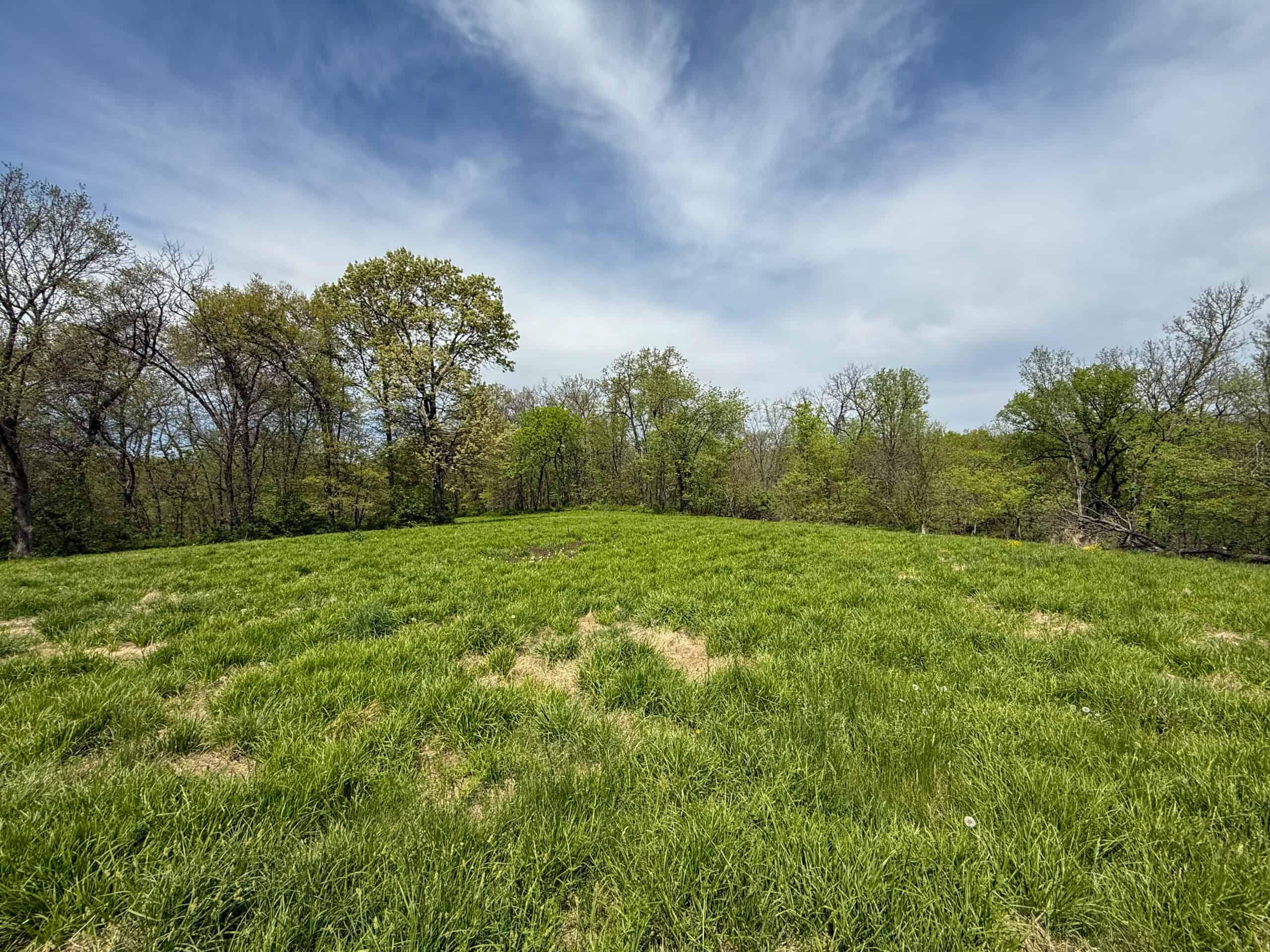 98± Acres – Monroe County, Iowa | Premier Hunting & Recreational Tract Southwest of Albia