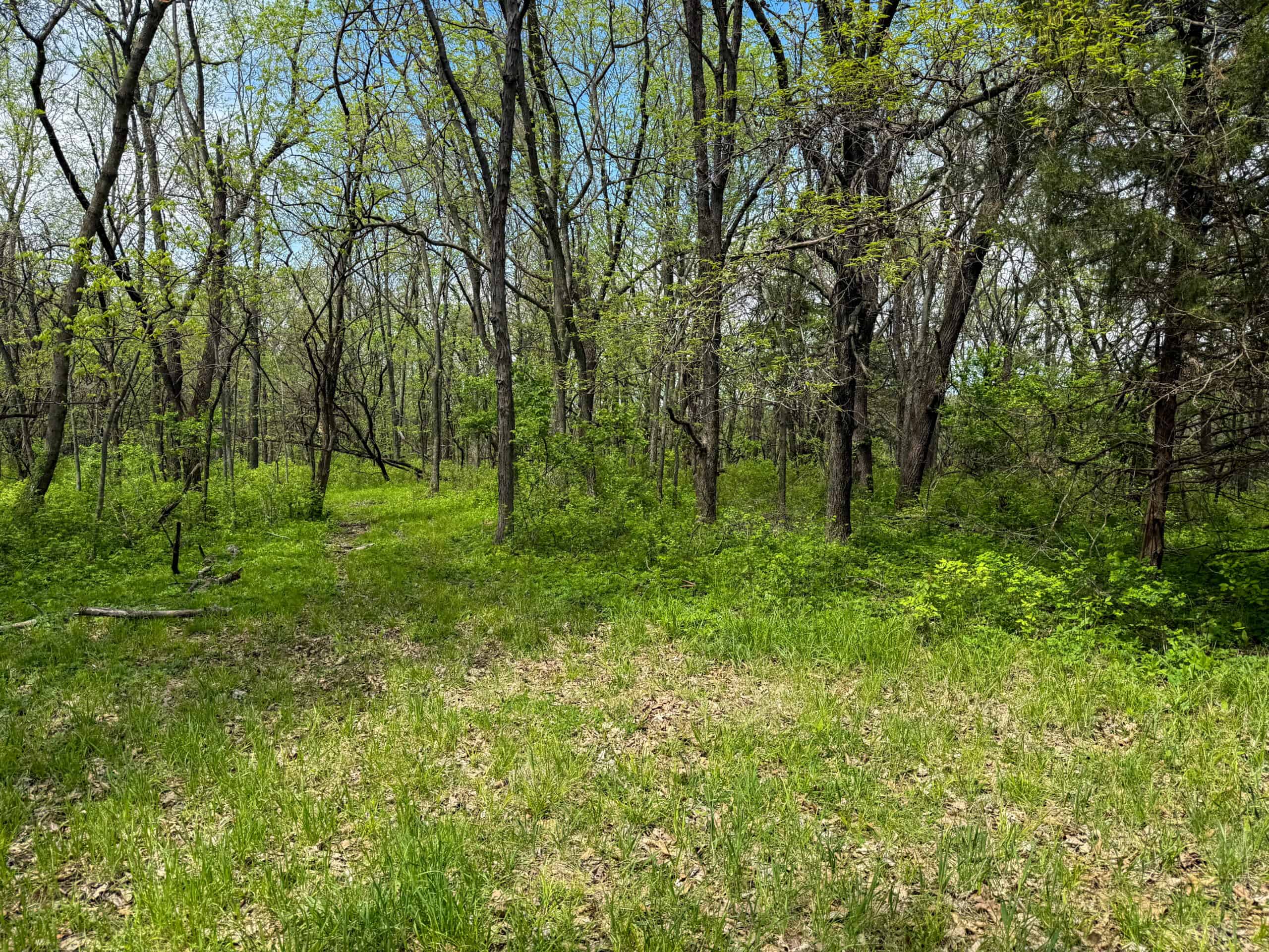98± Acres – Monroe County, Iowa | Premier Hunting & Recreational Tract Southwest of Albia