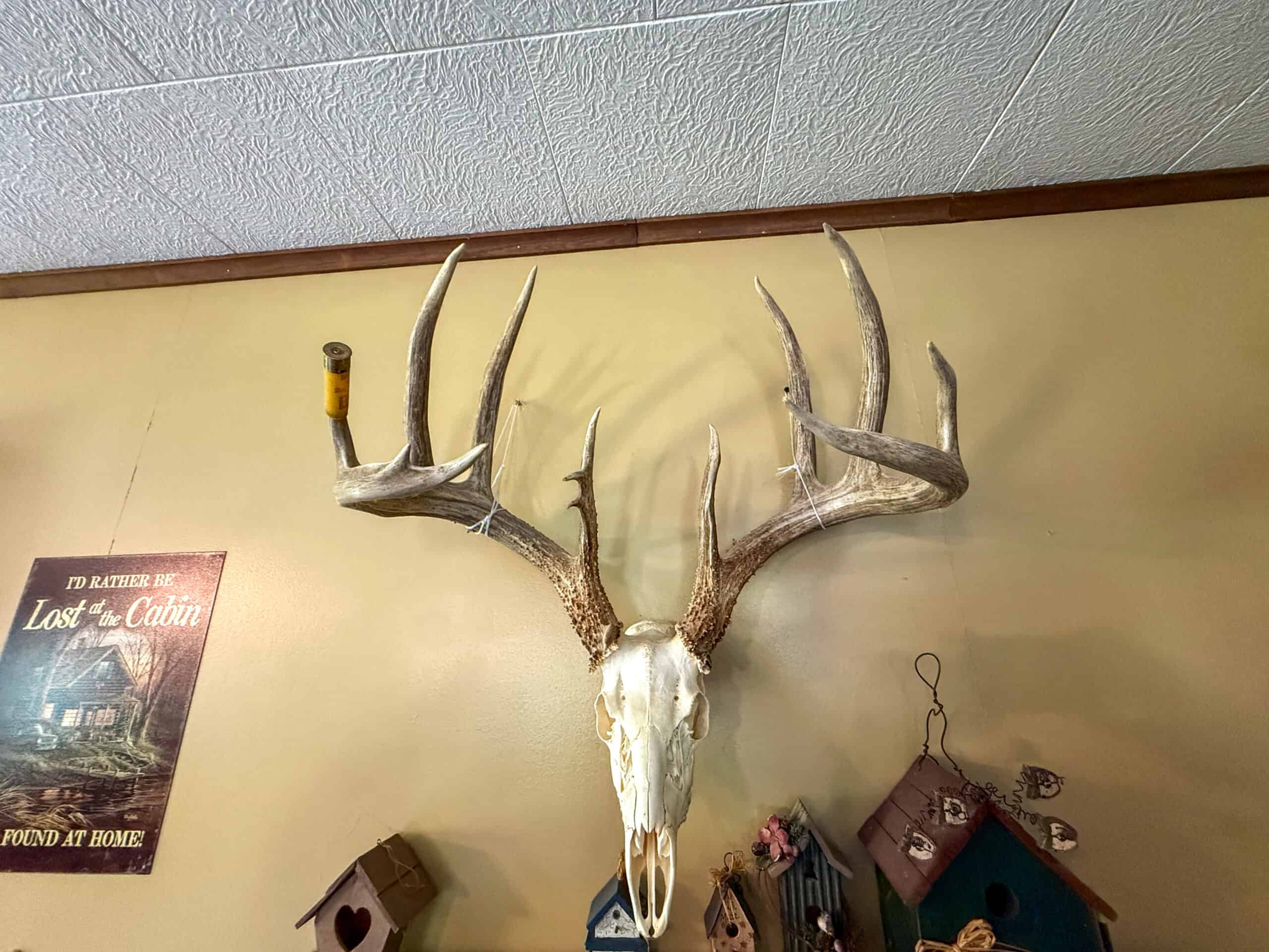 98± Acres – Monroe County, Iowa | Premier Hunting & Recreational Tract Southwest of Albia