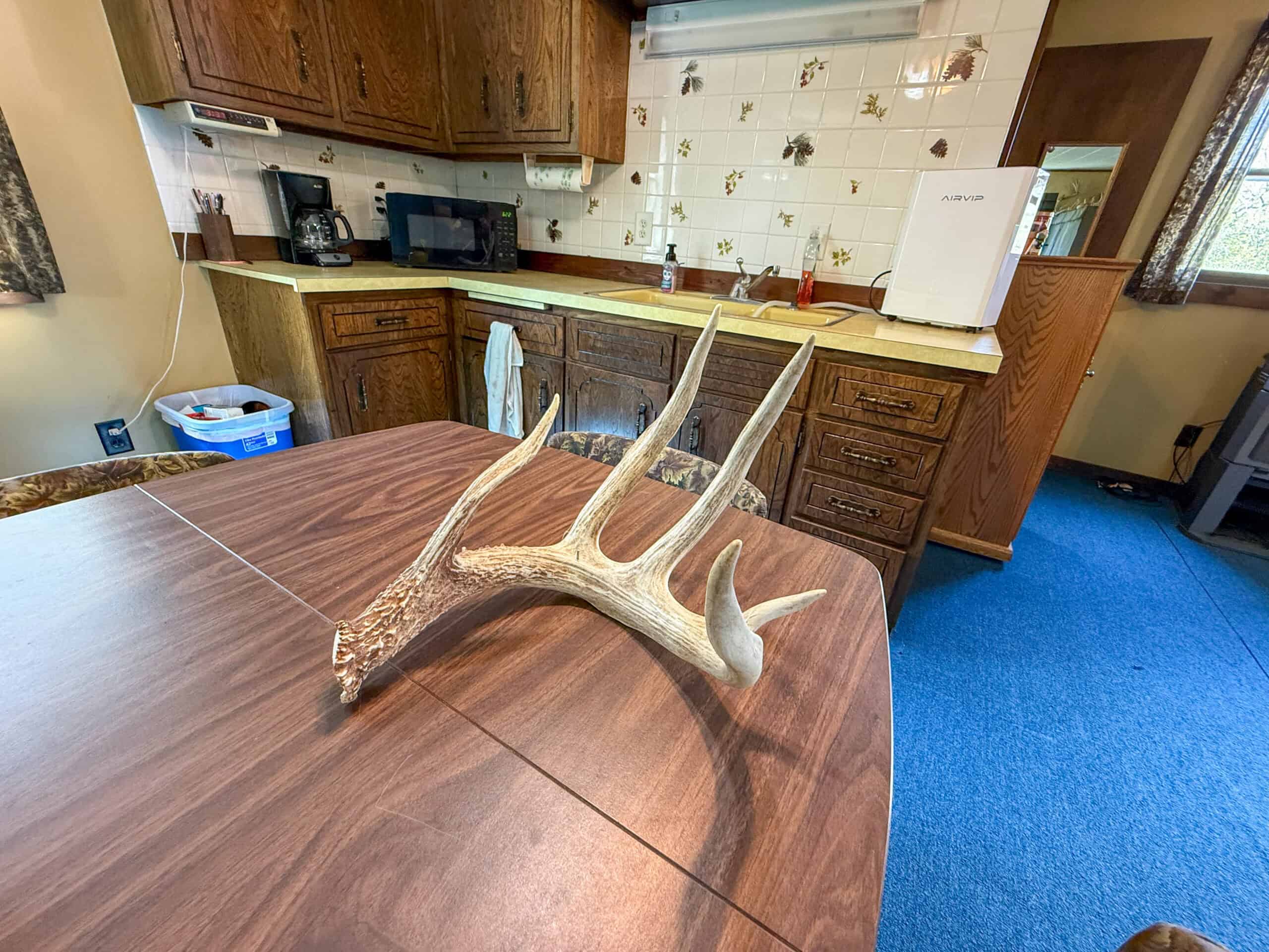 98± Acres – Monroe County, Iowa | Premier Hunting & Recreational Tract Southwest of Albia