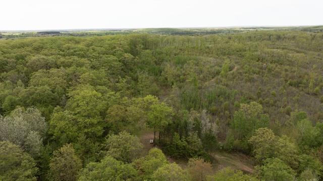 130 Acre Wisconsin Hunting Property for Sale in Marinette County WI