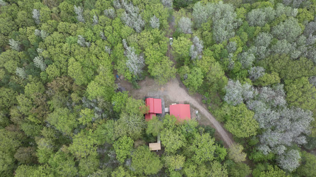 130 Acre Wisconsin Hunting Property for Sale in Marinette County WI
