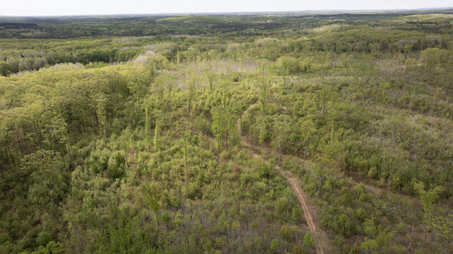 130 Acre Wisconsin Hunting Property for Sale in Marinette County WI