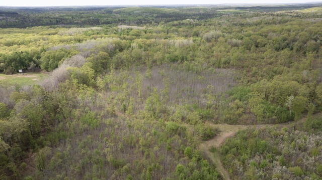 130 Acre Wisconsin Hunting Property for Sale in Marinette County WI