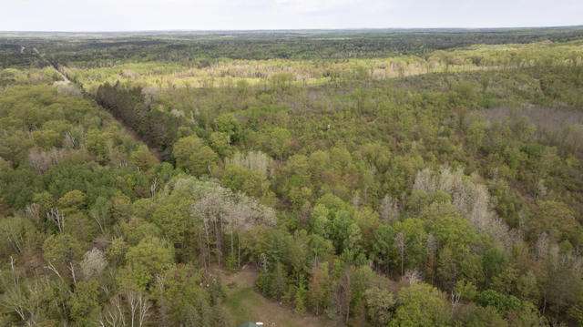 130 Acre Wisconsin Hunting Property for Sale in Marinette County WI
