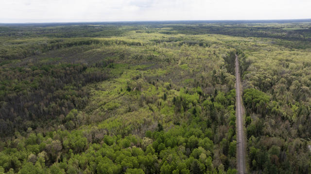 130 Acre Wisconsin Hunting Property for Sale in Marinette County WI