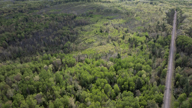 130 Acre Wisconsin Hunting Property for Sale in Marinette County WI