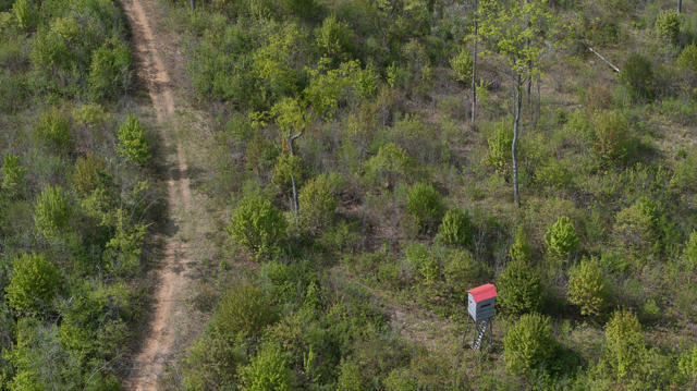 130 Acre Wisconsin Hunting Property for Sale in Marinette County WI