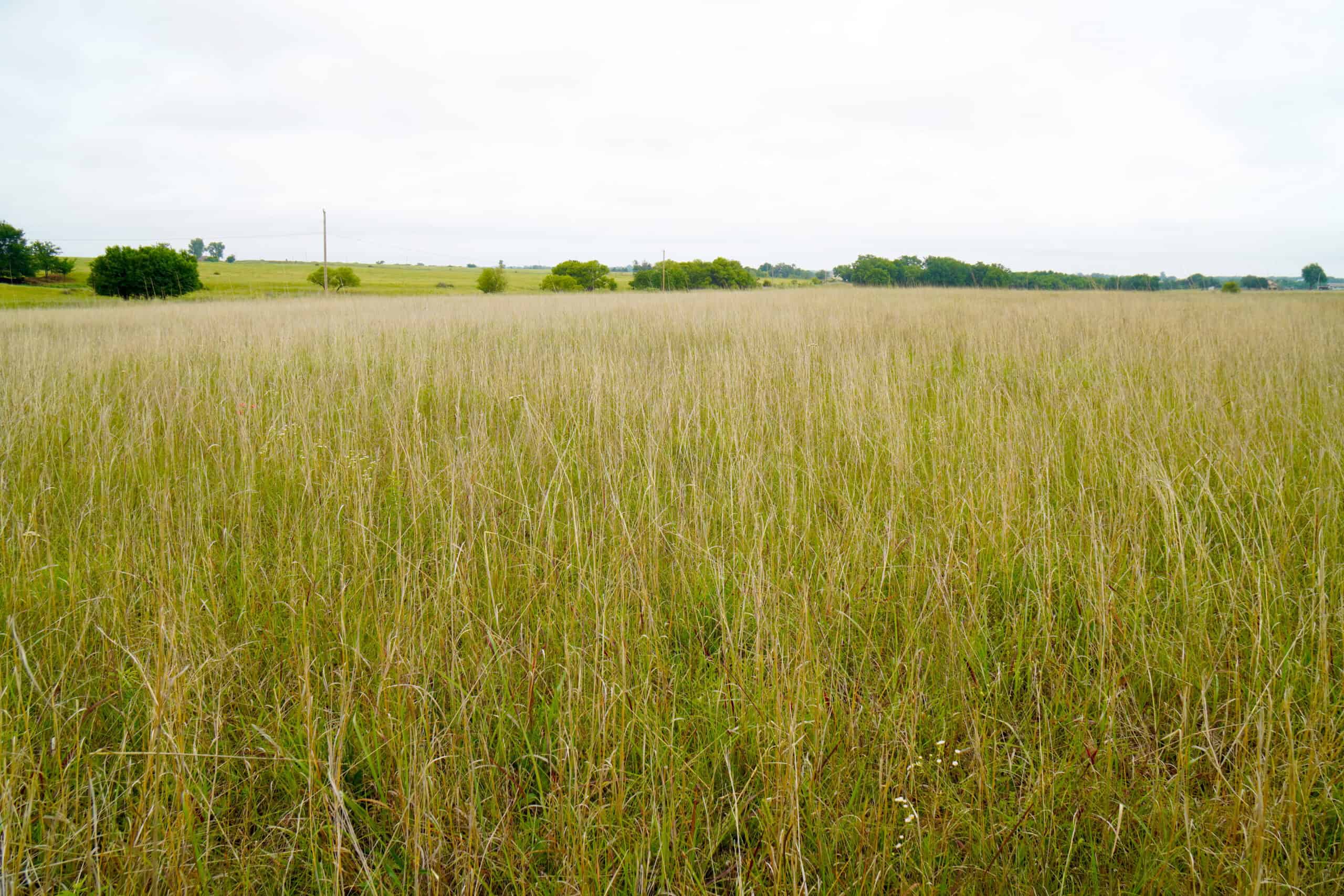 Productive Grassland Property For Sale Agra, Ok