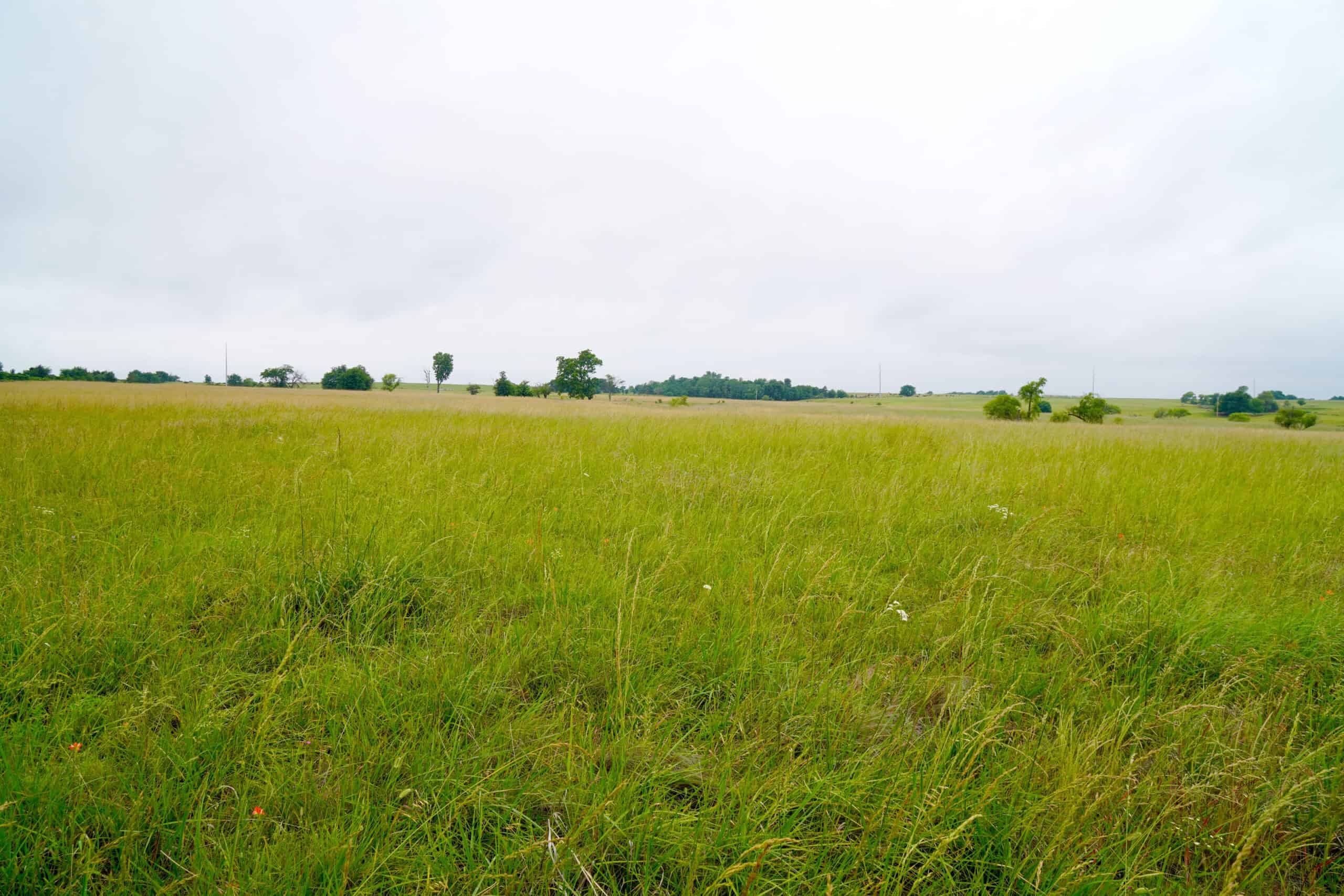 Productive Grassland Property For Sale Agra, Ok