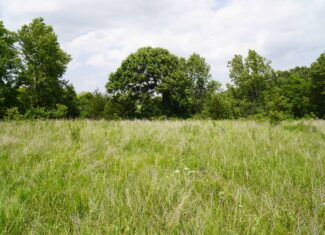 Creek County Recreational Homesite For Sale