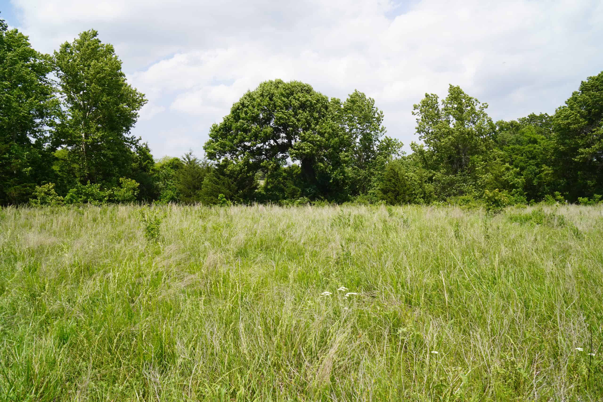 Creek County Recreational Homesite For Sale