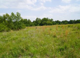 Creek County Recreational Homesite For Sale