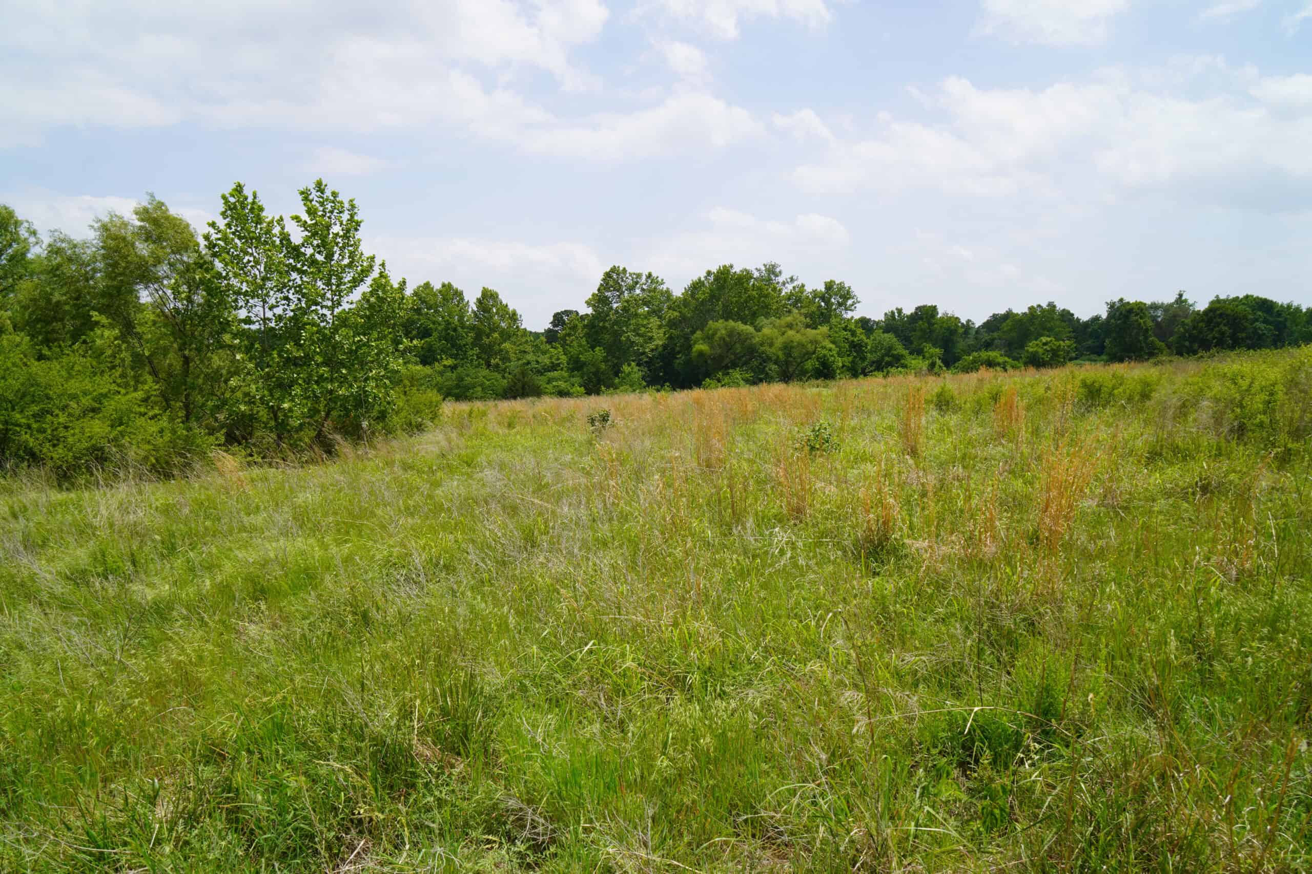 Creek County Recreational Homesite For Sale