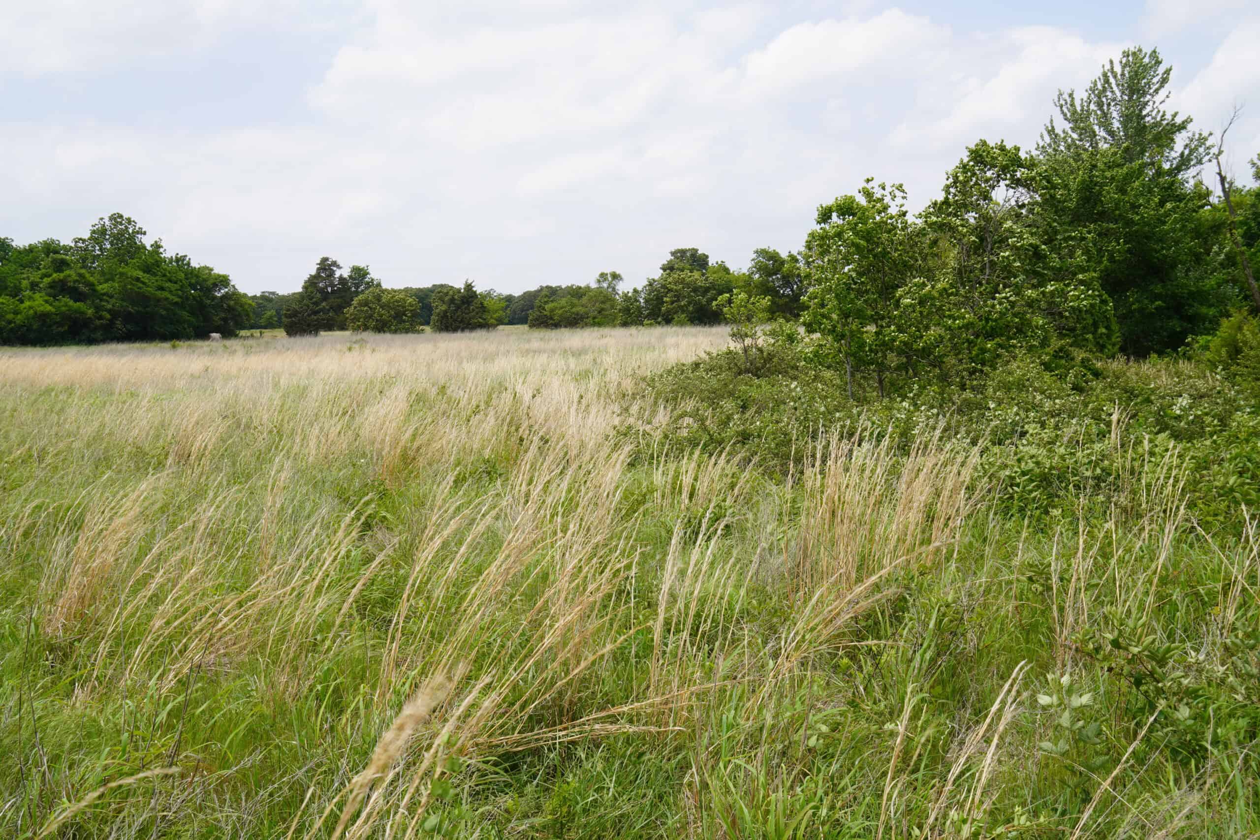 Creek County Recreational Homesite For Sale